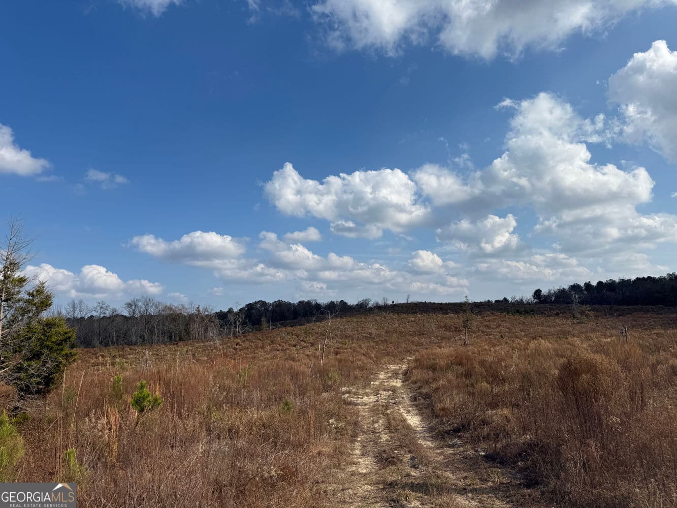 unimproved land for sale at 994 Joe Jones Road, Ideal, GA 31041 — photo 9