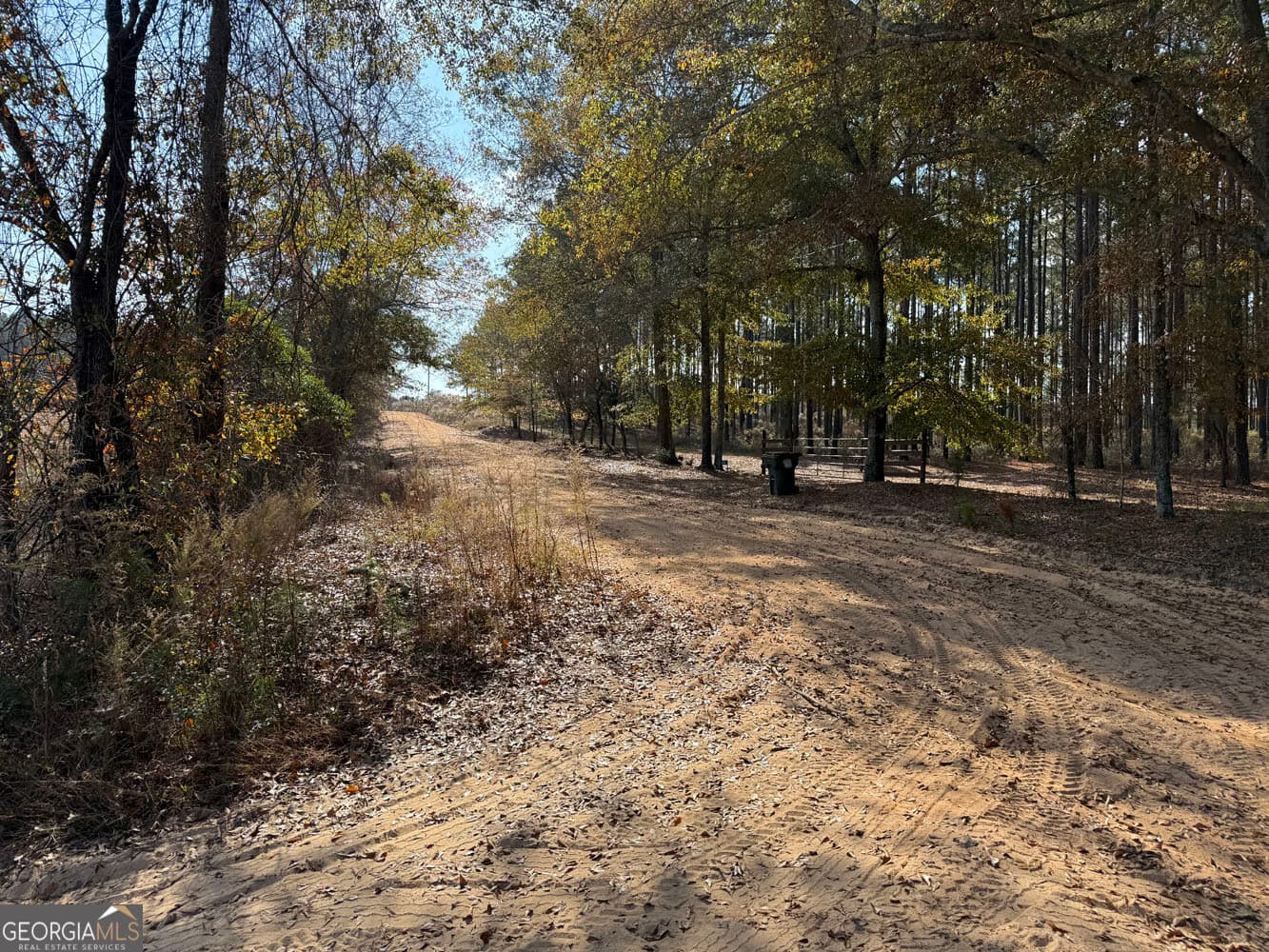 unimproved land for sale at 994 Joe Jones Road, Ideal, GA 31041 — photo 4