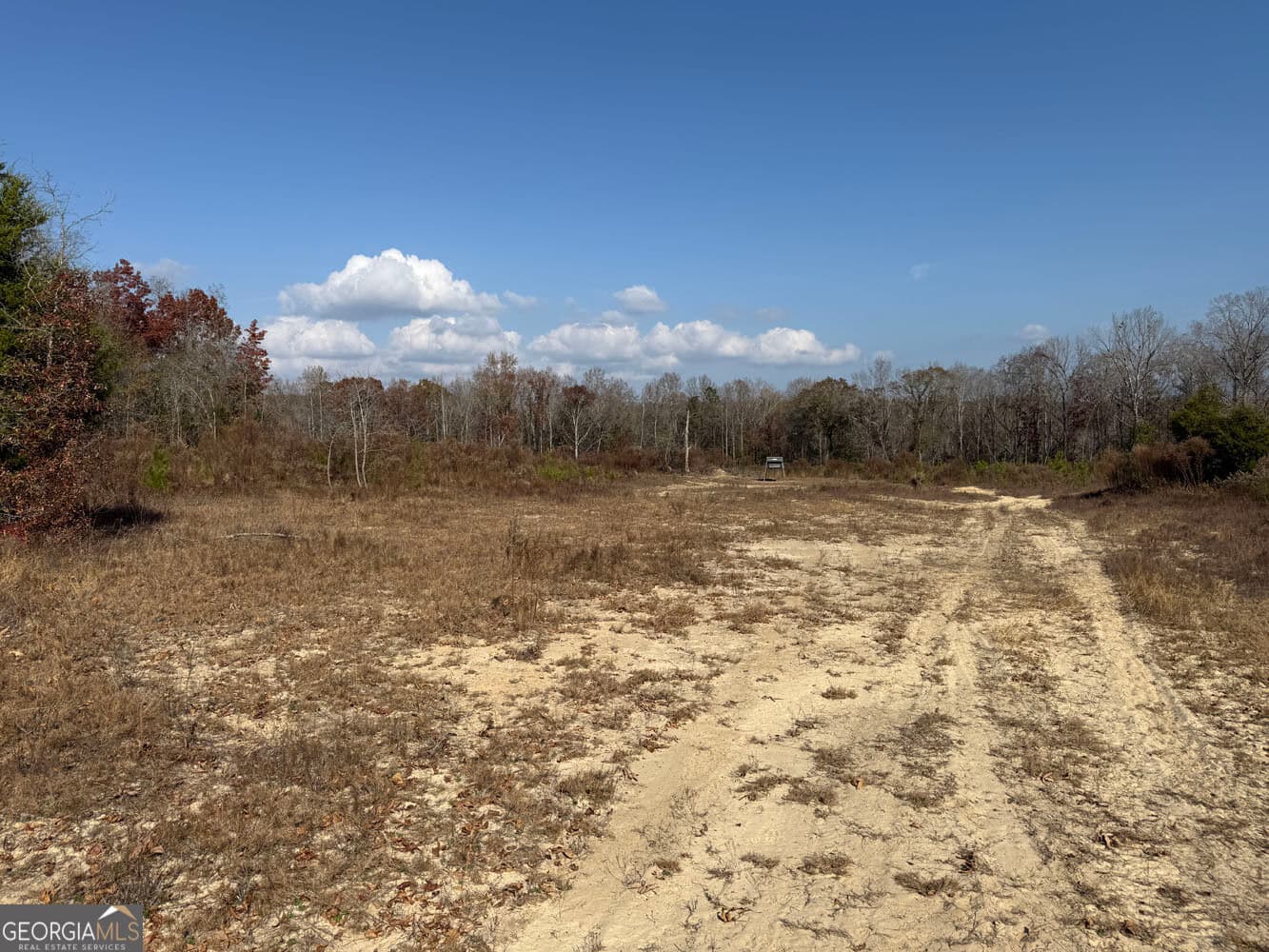 unimproved land for sale at 994 Joe Jones Road, Ideal, GA 31041 — photo 8