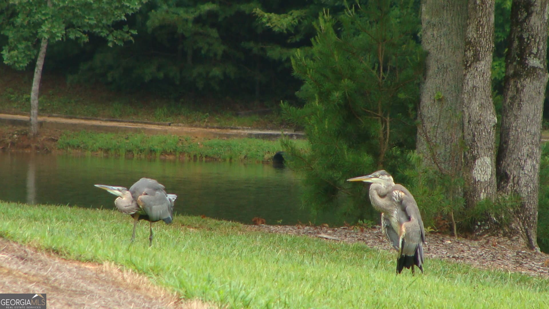 residential lot for sale at 25 Chimney Oaks Trail, Cleveland, GA 30528 — photo 8