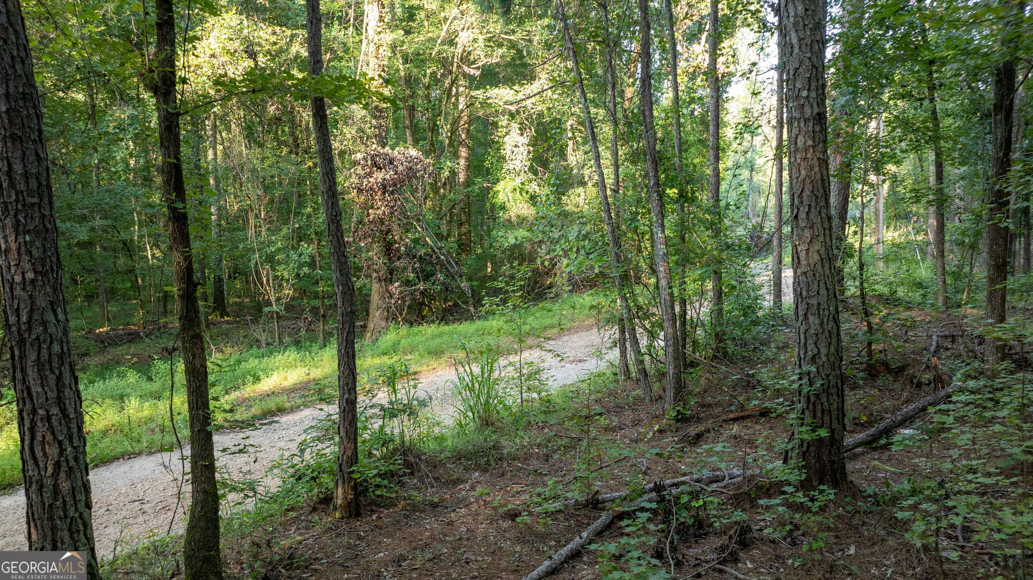 residential lot for sale at 0 Allgood Road 12.59+/- ACRES, Newnan, GA 30263 — photo 2