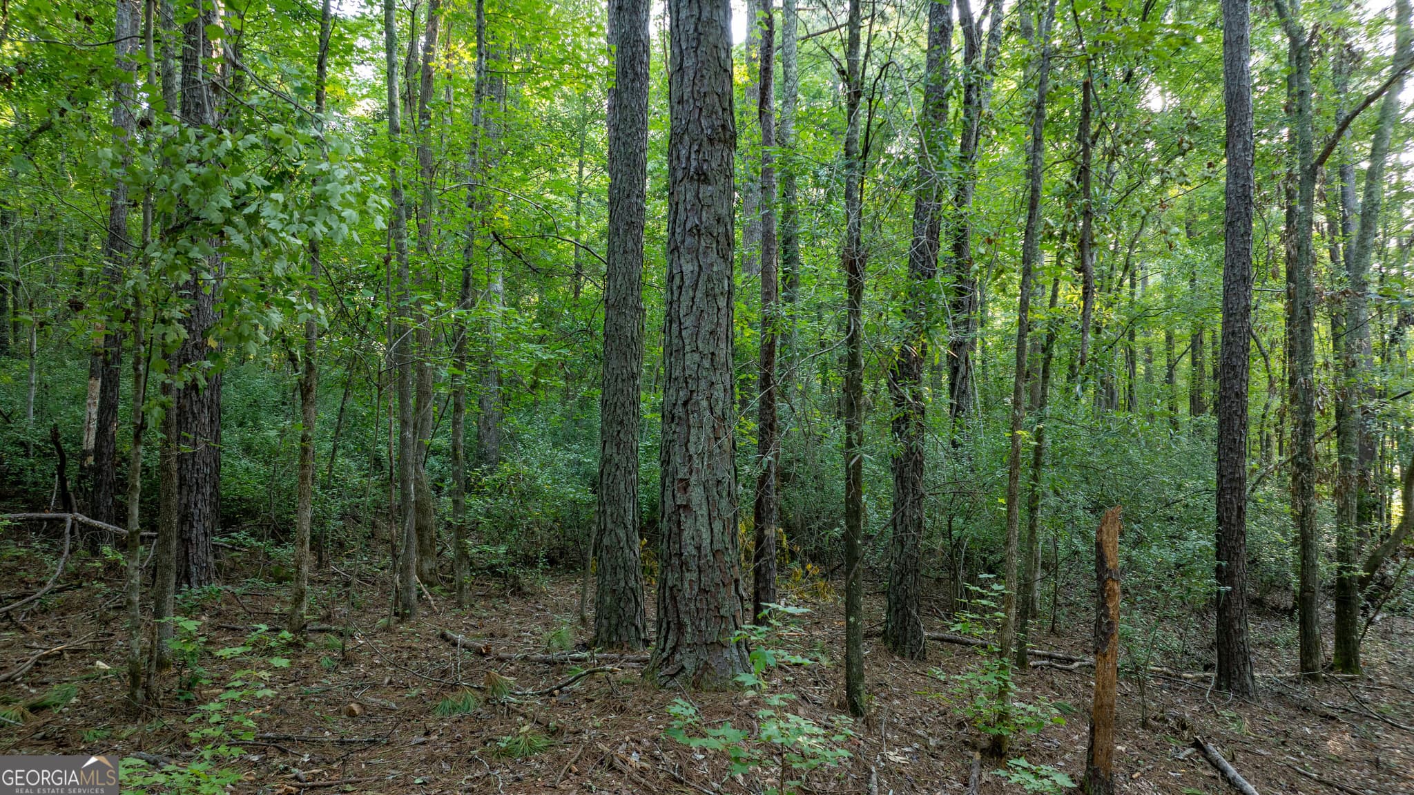 residential lot for sale at 0 Allgood Road 12.59+/- ACRES, Newnan, GA 30263 — photo 6