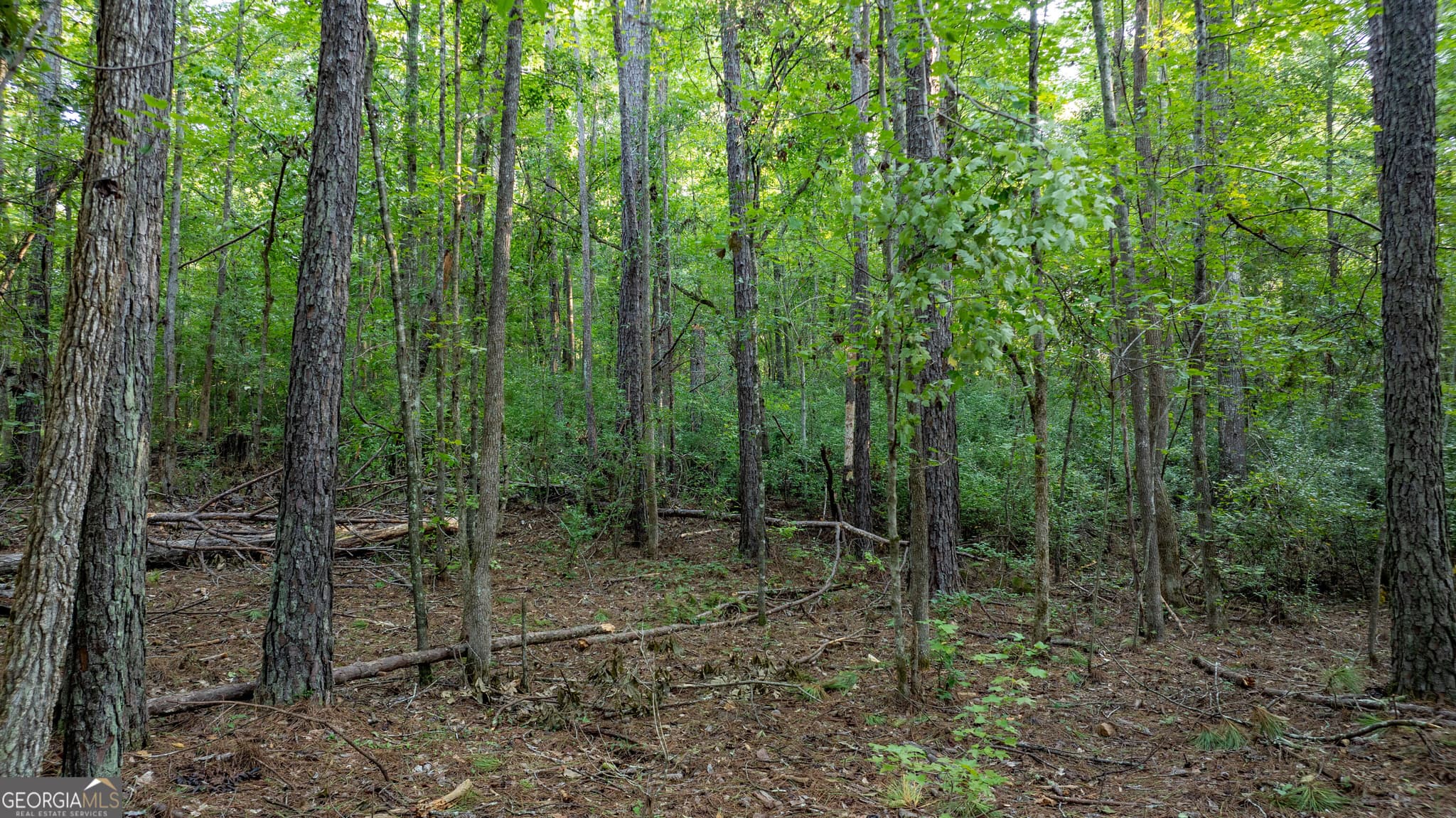 residential lot for sale at 0 Allgood Road 12.59+/- ACRES, Newnan, GA 30263 — photo 7
