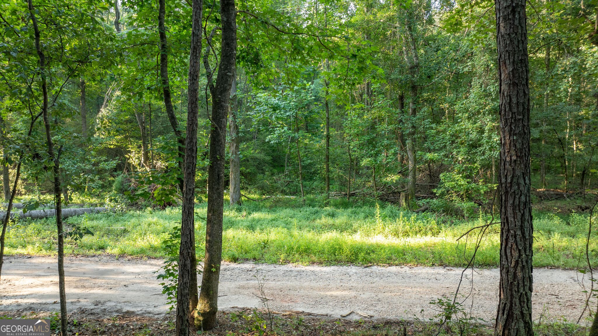 residential lot for sale at 0 Allgood Road 12.59+/- ACRES, Newnan, GA 30263 — photo 3