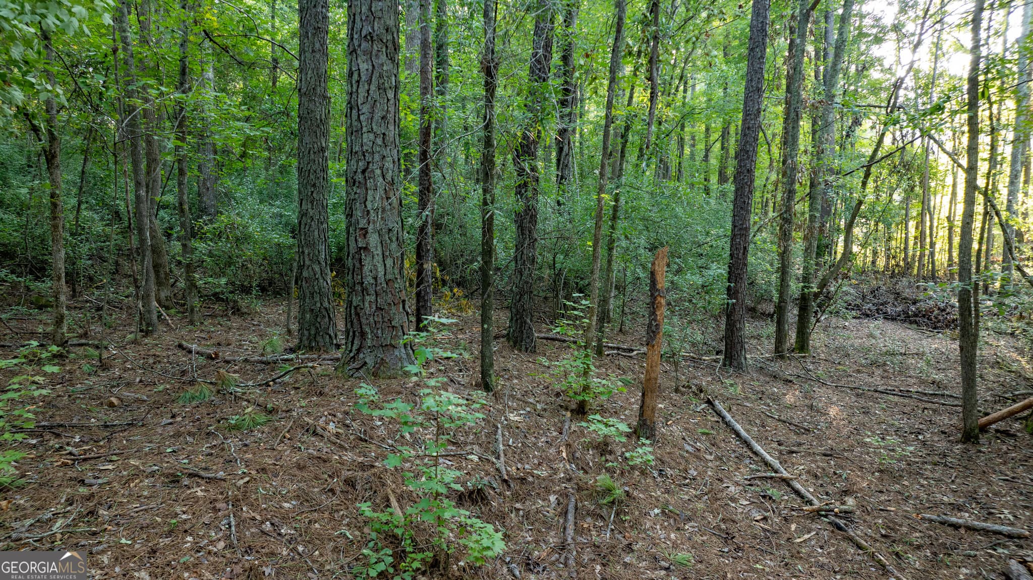 residential lot for sale at 0 Allgood Road 12.59+/- ACRES, Newnan, GA 30263 — photo 5
