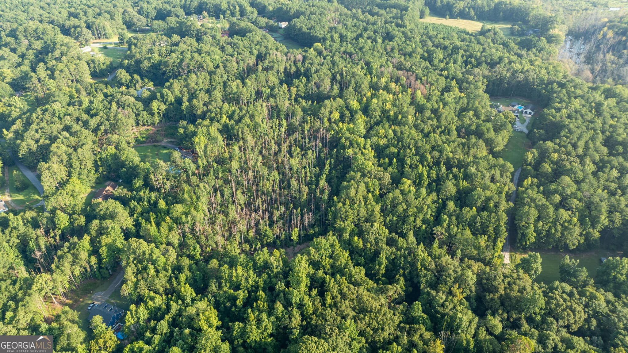 residential lot for sale at 0 Allgood Road 12.59+/- ACRES, Newnan, GA 30263 — photo 9
