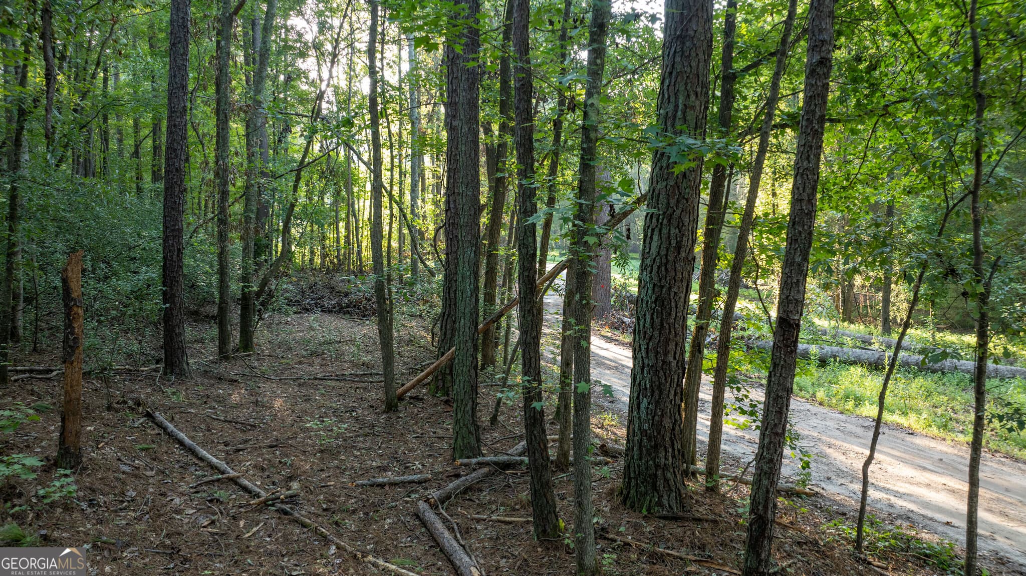 residential lot for sale at 0 Allgood Road 12.59+/- ACRES, Newnan, GA 30263 — photo 4
