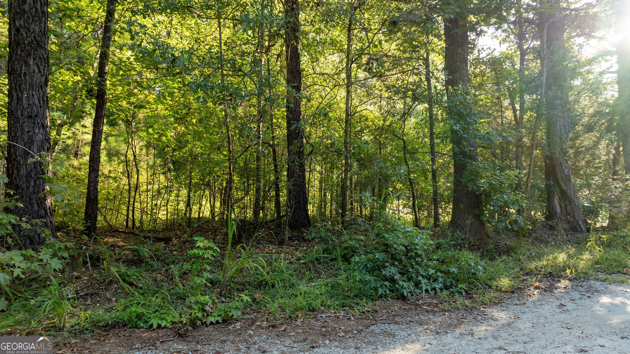 residential lot for sale at 0 Allgood Road 12.59+/- ACRES, Newnan, GA 30263 — photo 8
