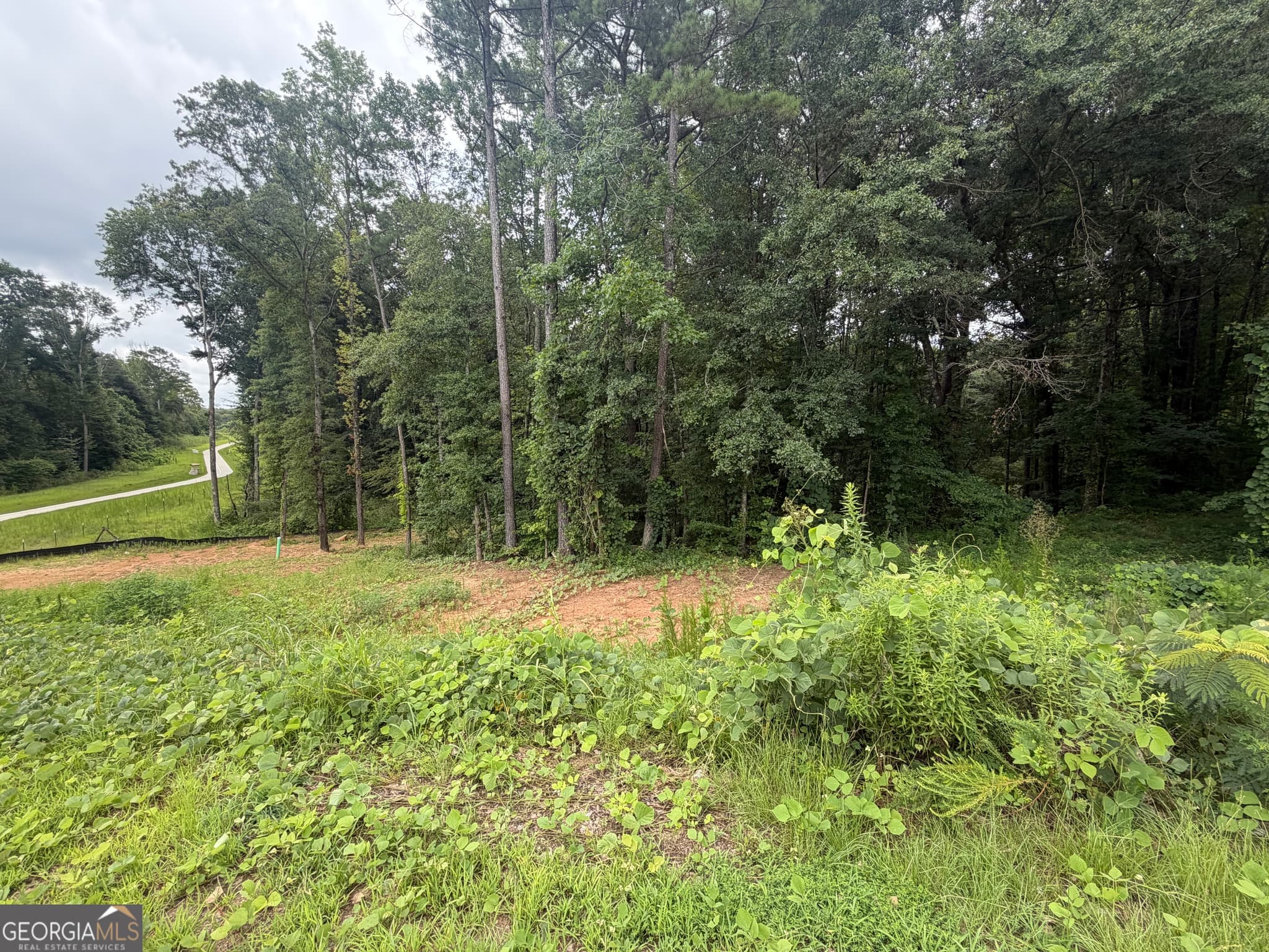 residential lot for sale at 1680 Kilcrease Road, Bethlehem, GA 30620 — photo 2