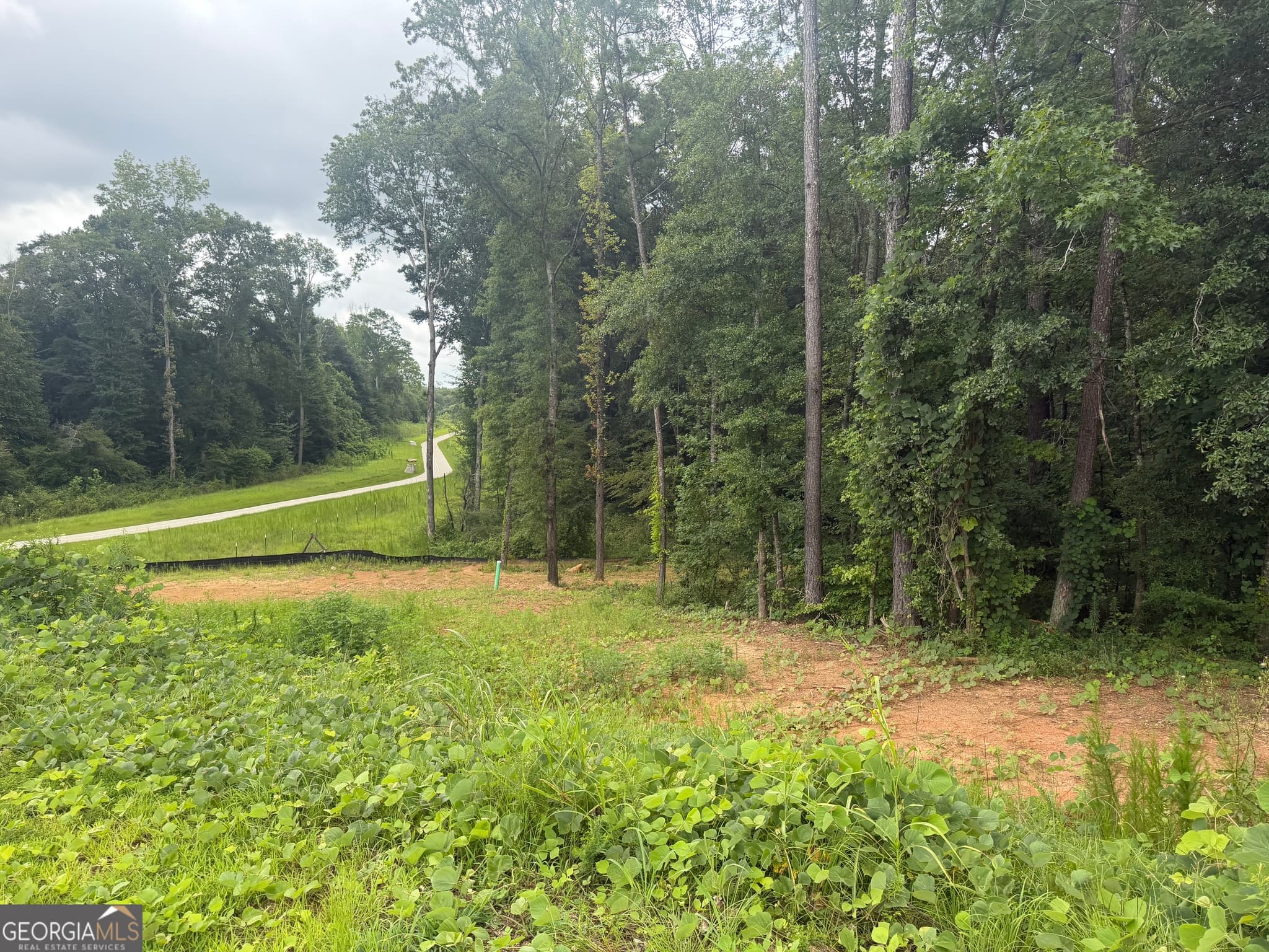residential lot for sale at 1680 Kilcrease Road, Bethlehem, GA 30620 — photo 1 of 11