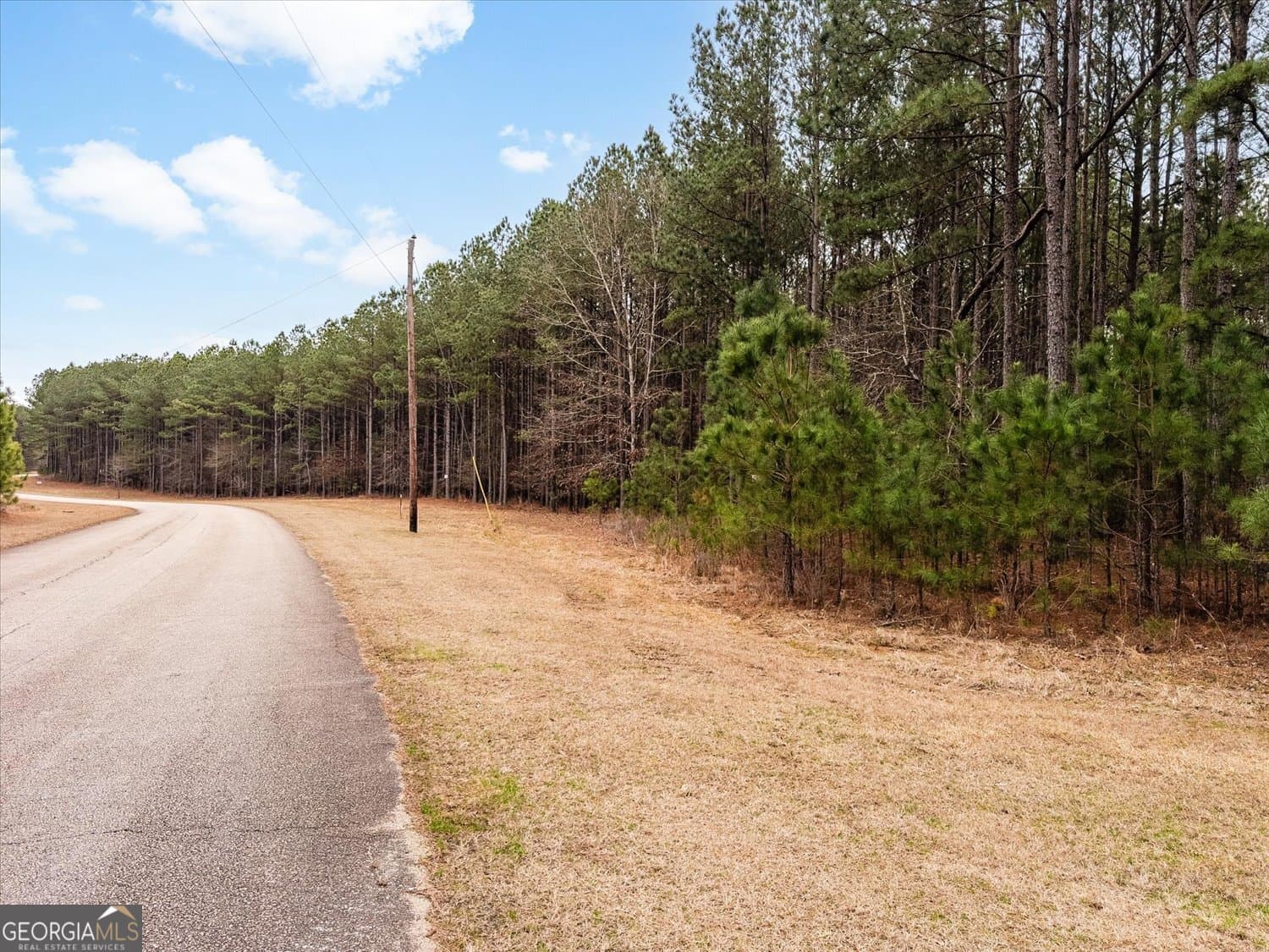 residential lot for sale at 1020 Hesters Ferry Road, Tignall, GA 30668 — photo 6