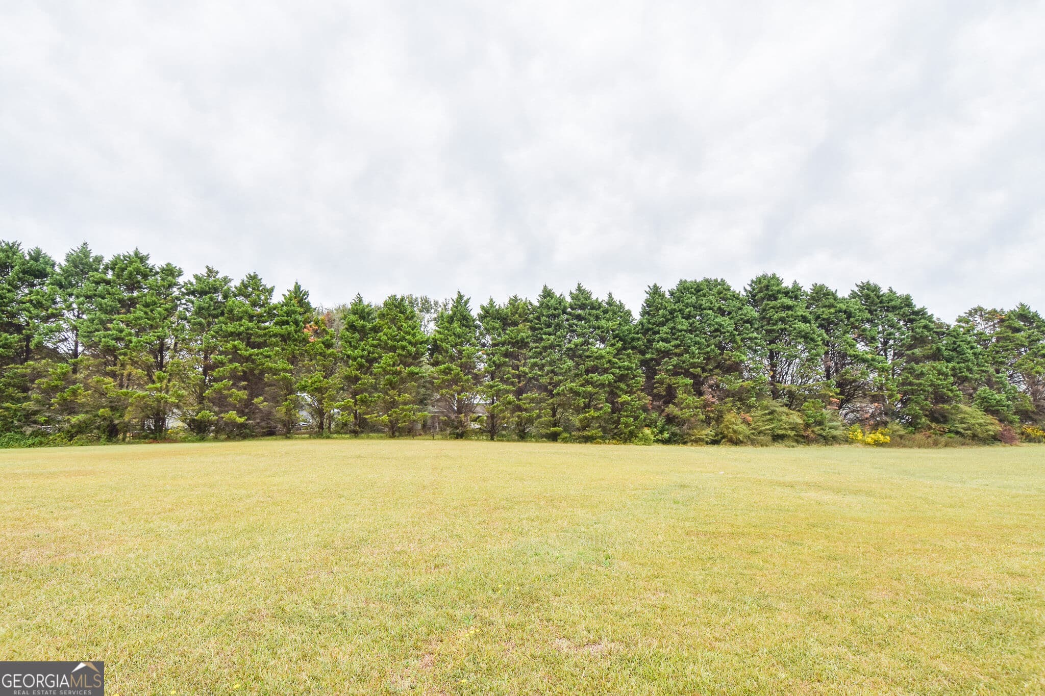 3 bedroom, 2 bathroom, 1,296 sq ft single family residence for sale at 111 Meadowview Lane, Williamson, GA 30292 — photo 5
