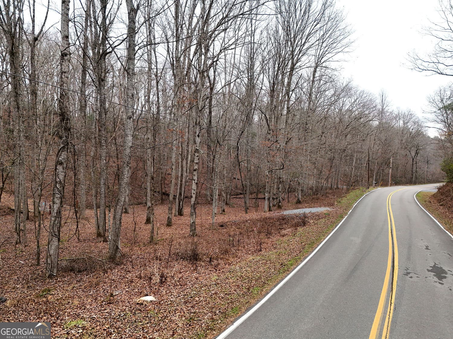 unimproved land for sale at 0 Dills Road, Blue Ridge, GA 30513 — photo 2