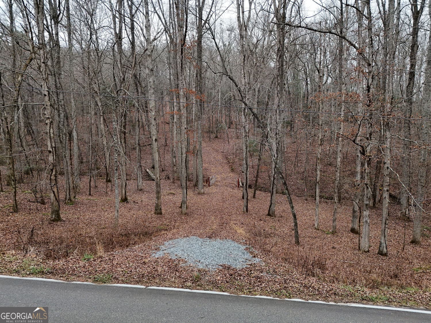 unimproved land for sale at 0 Dills Road, Blue Ridge, GA 30513 — photo 3