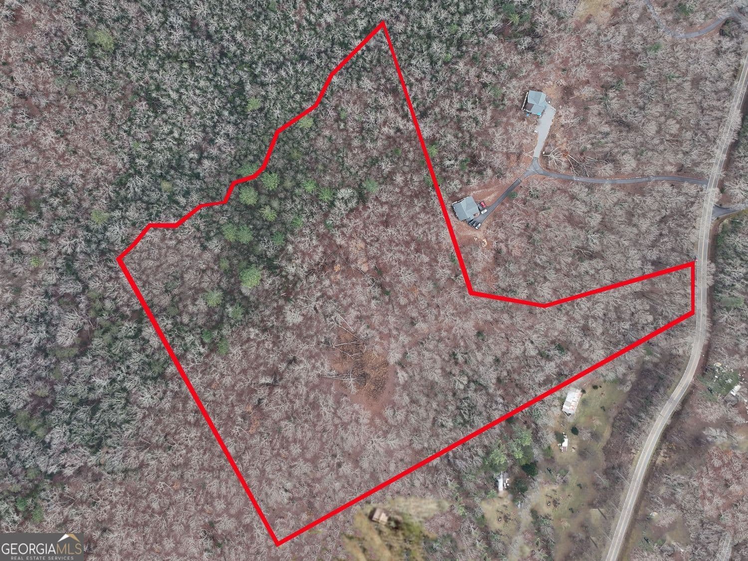 unimproved land for sale at 0 Dills Road, Blue Ridge, GA 30513 — photo 1 of 22