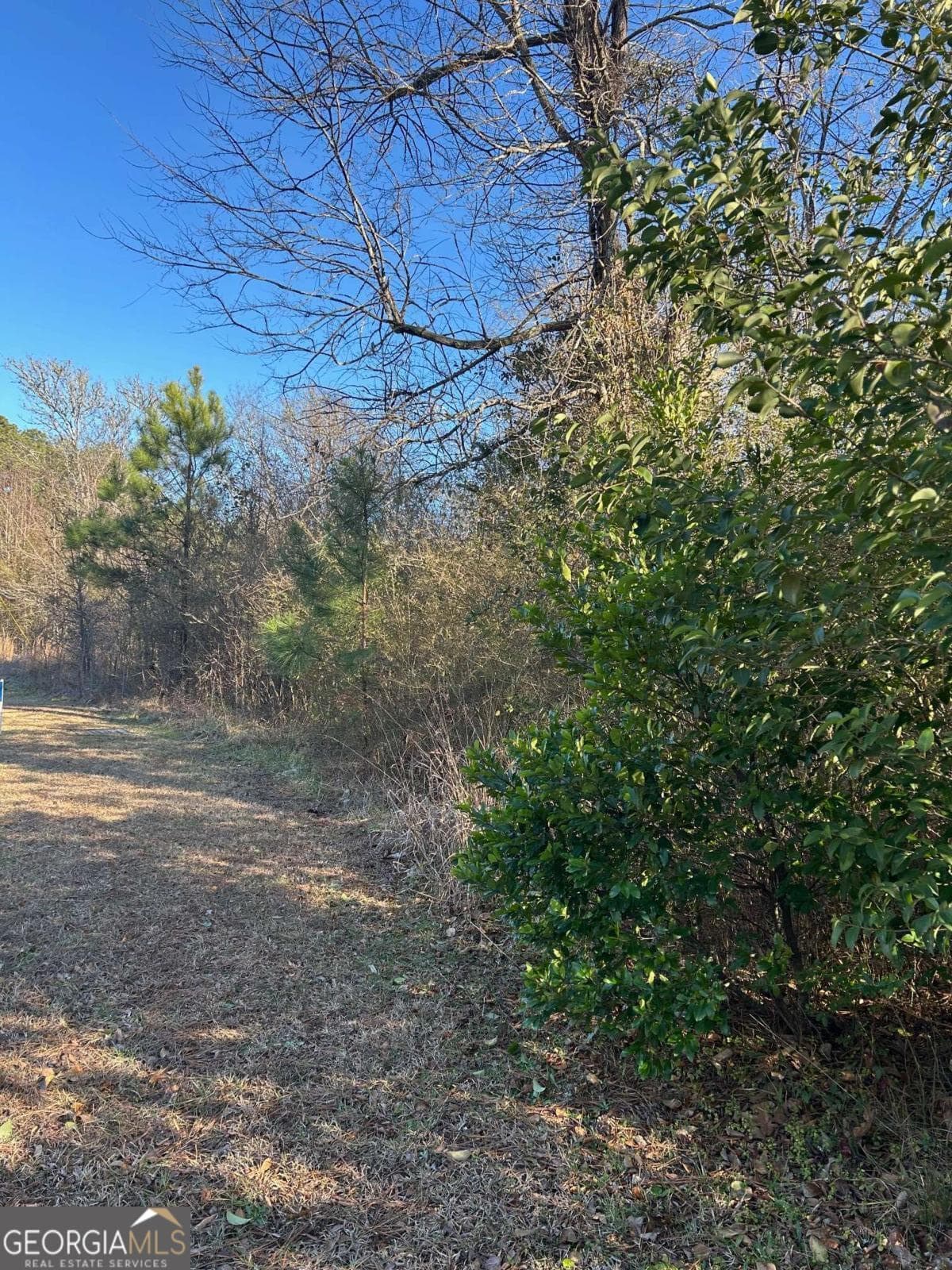 unimproved land for sale at 678 Dunlap Road A-14, Milledgeville, GA 31061 — photo 3