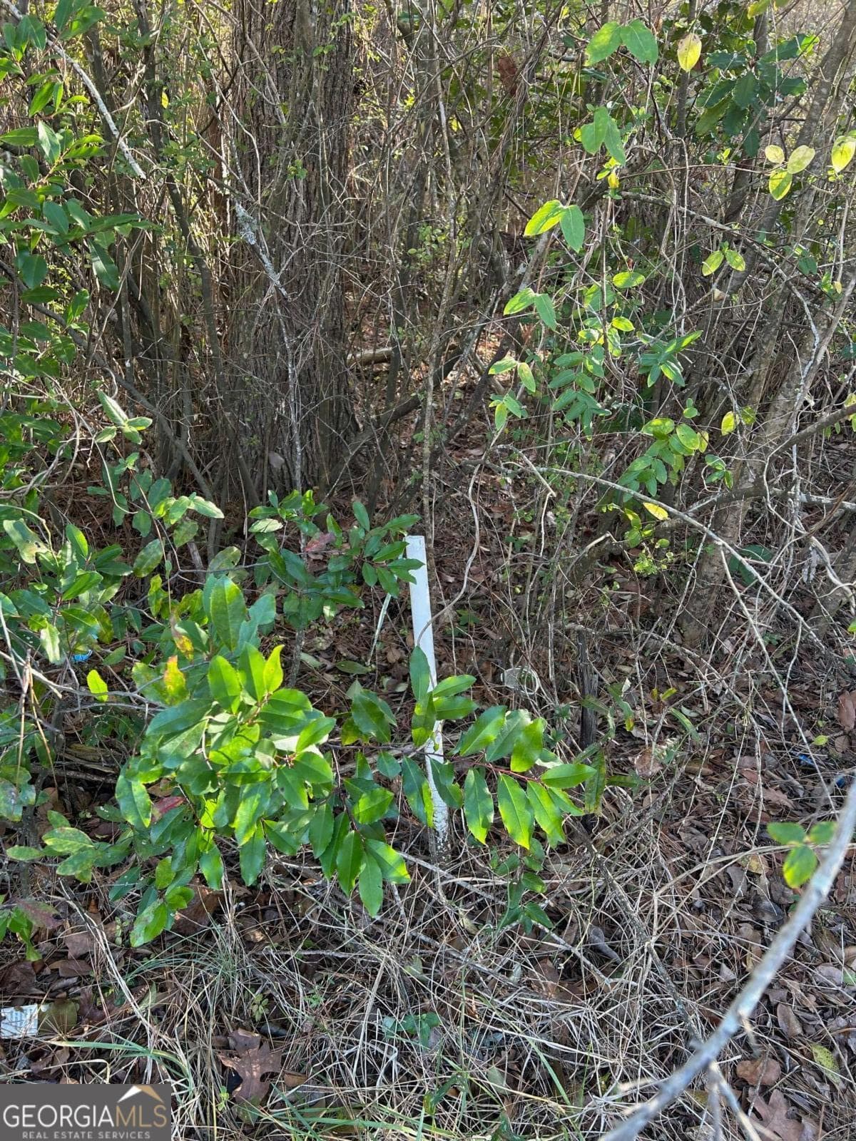 unimproved land for sale at 678 Dunlap Road A-14, Milledgeville, GA 31061 — photo 4
