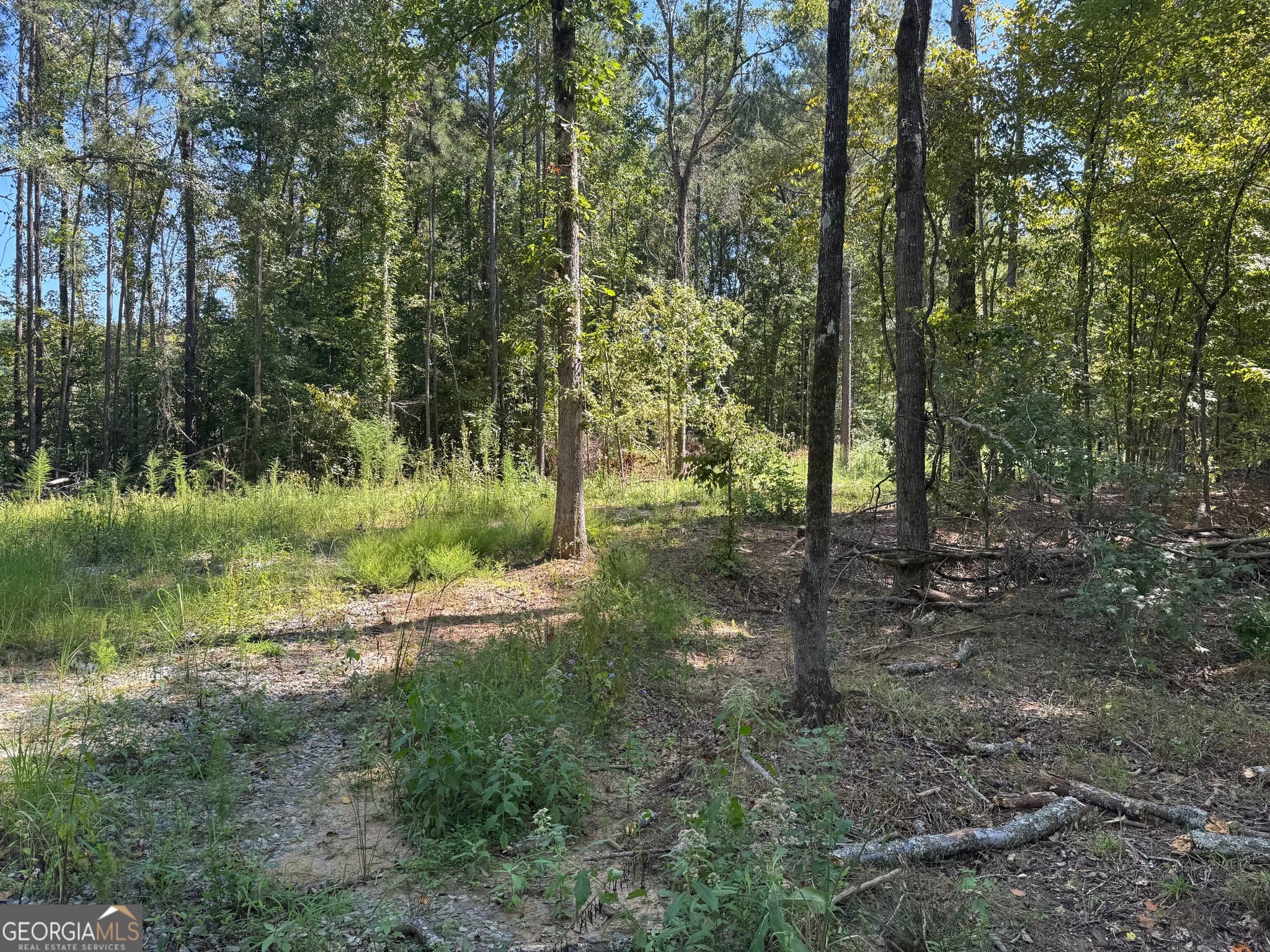 residential lot for sale at 0 Highway 18, Gray, GA 31032 — photo 2