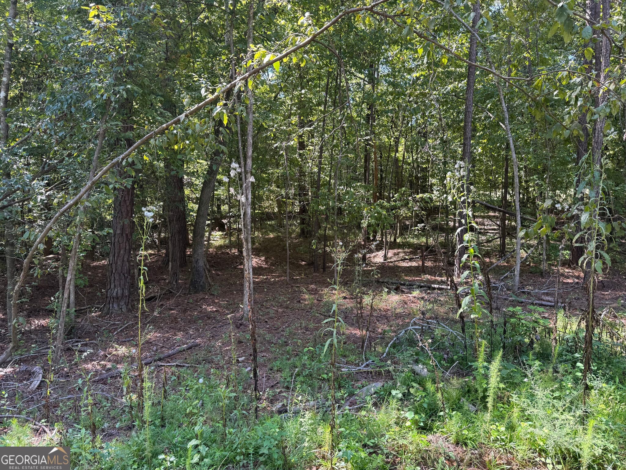 residential lot for sale at 0 Highway 18, Gray, GA 31032 — photo 7
