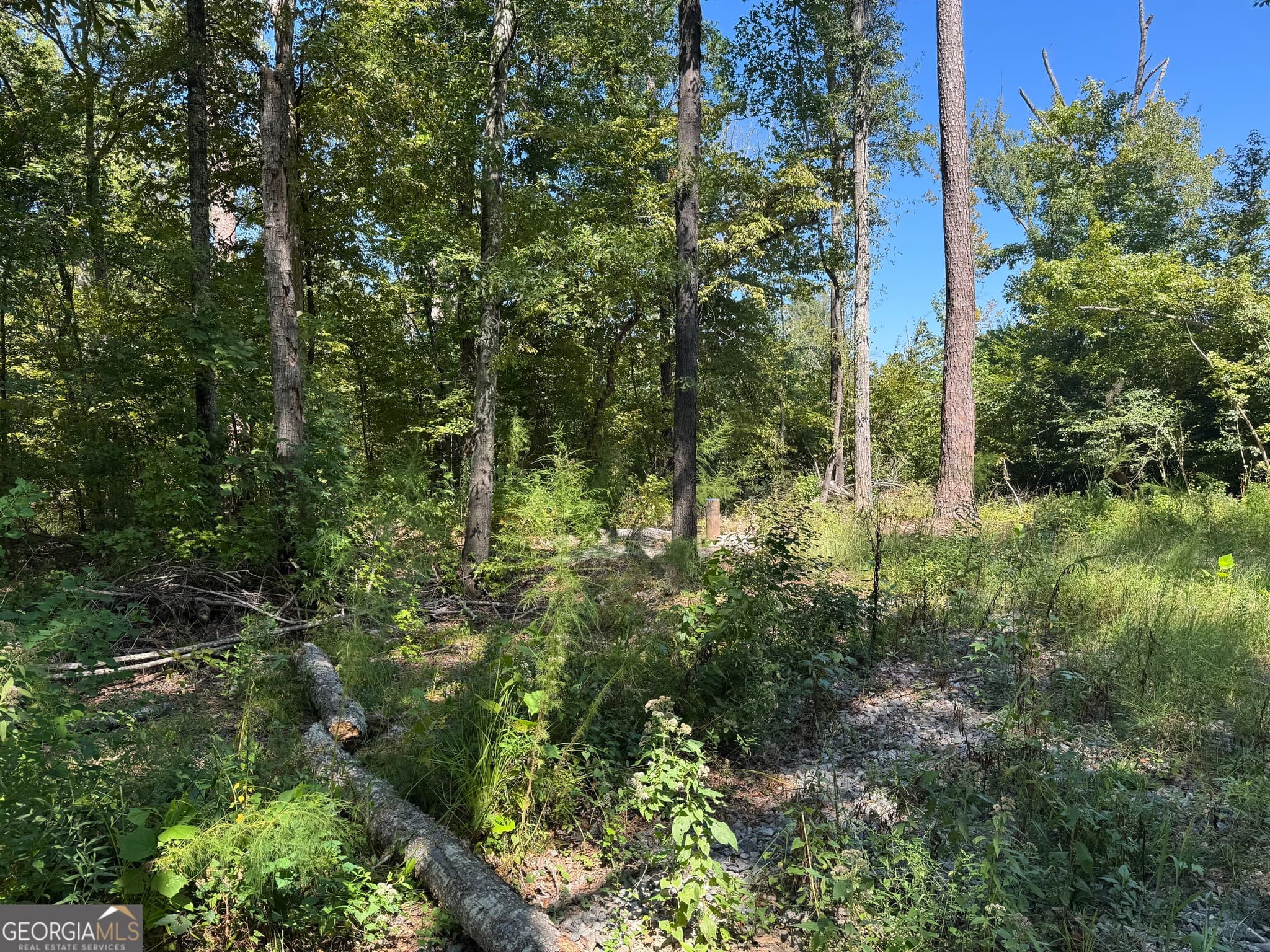 residential lot for sale at 0 Highway 18, Gray, GA 31032 — photo 3