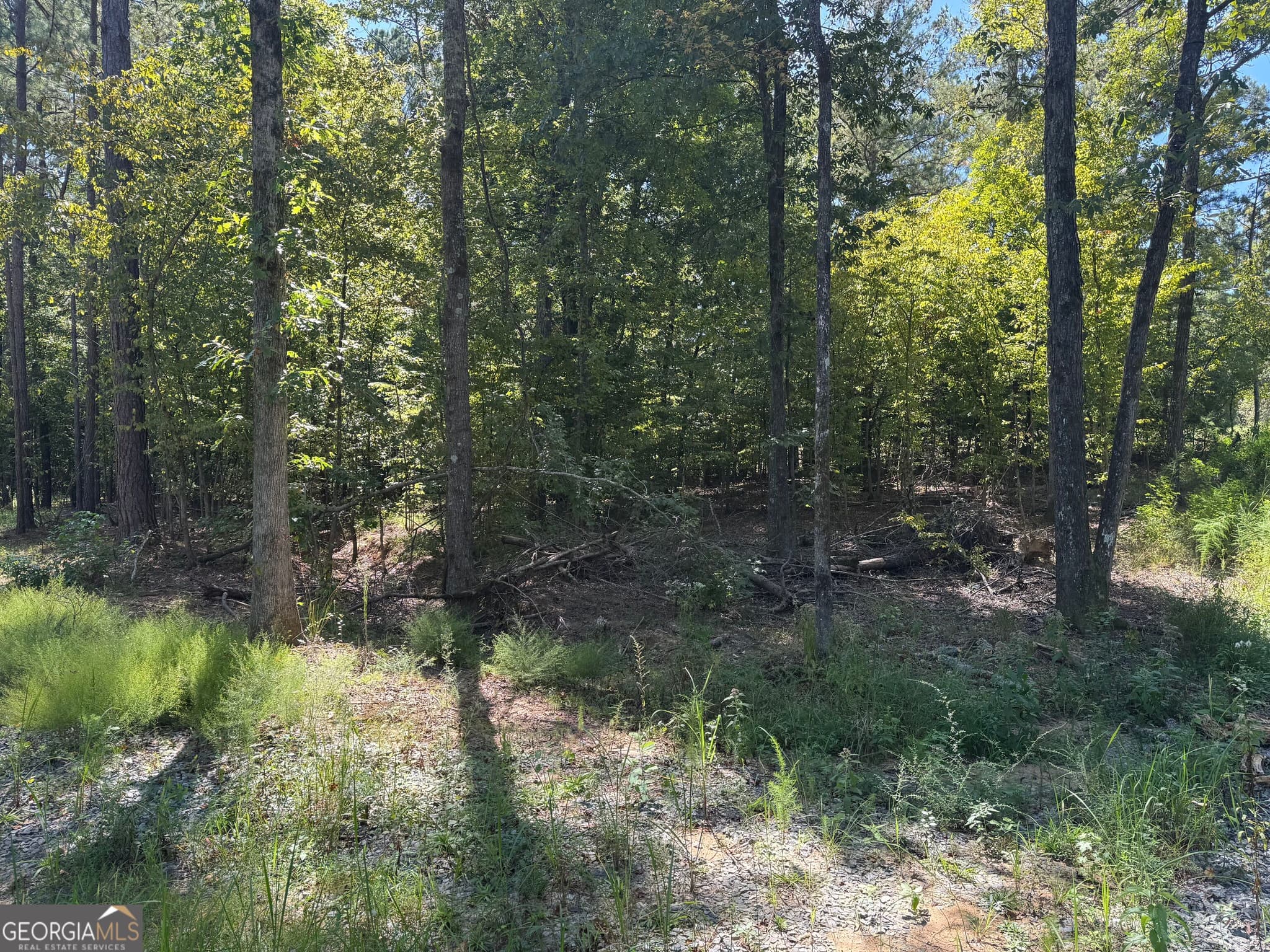 residential lot for sale at 0 Highway 18, Gray, GA 31032 — photo 5