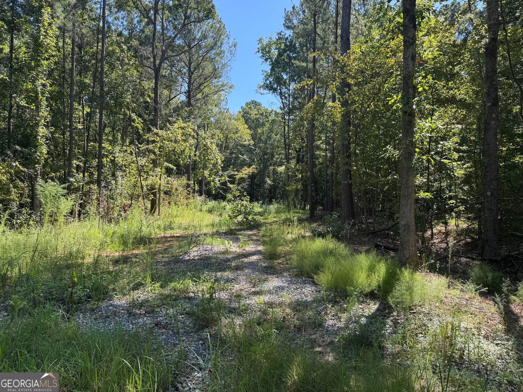 residential lot for sale at 0 Highway 18, Gray, GA 31032 — photo 4