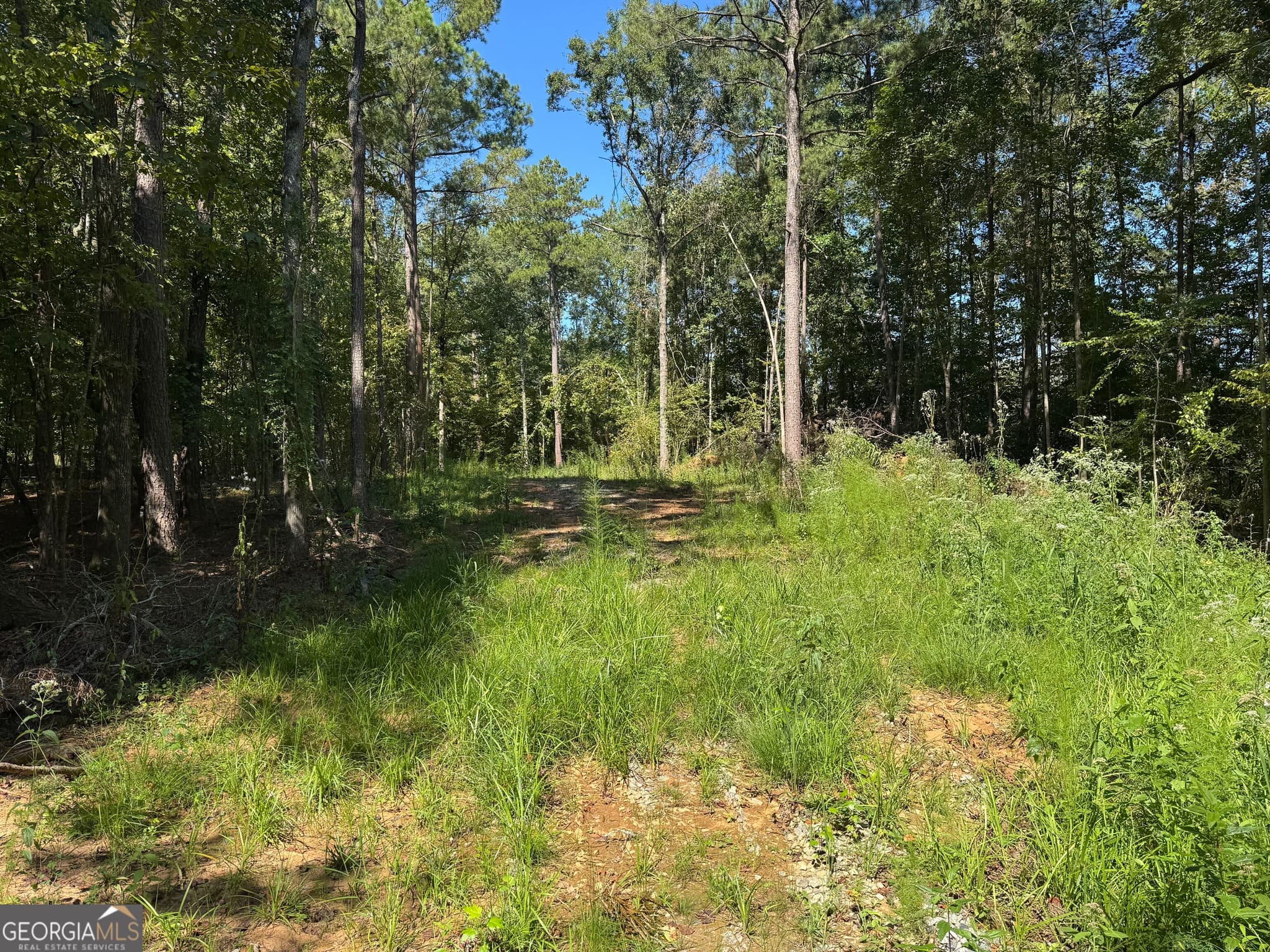 residential lot for sale at 0 Highway 18, Gray, GA 31032 — photo 8