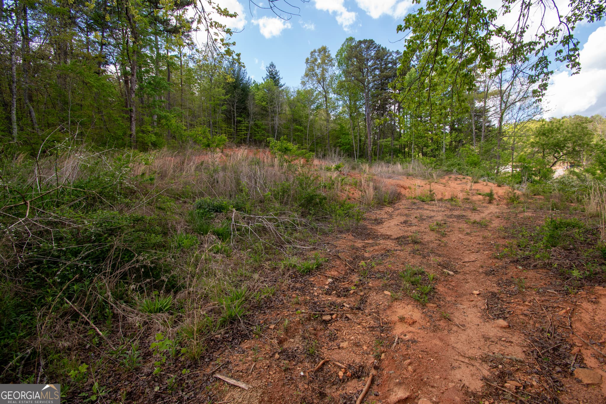 residential lot for sale at 0 W Vineyard Road, Hayesville, NC 28904 — photo 2