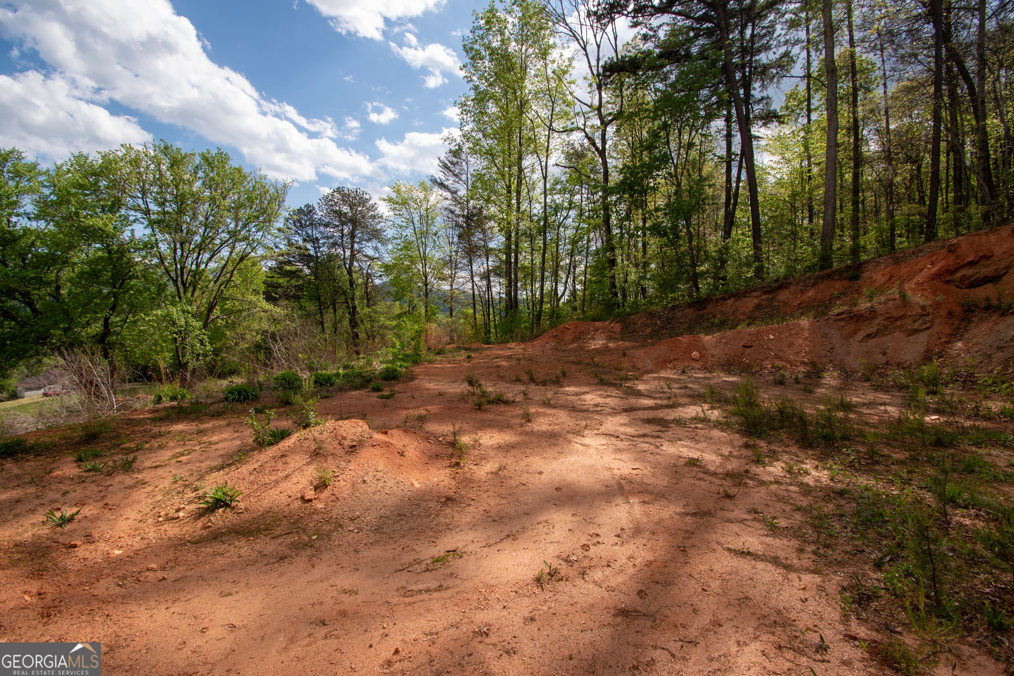 residential lot for sale at 0 W Vineyard Road, Hayesville, NC 28904 — photo 6