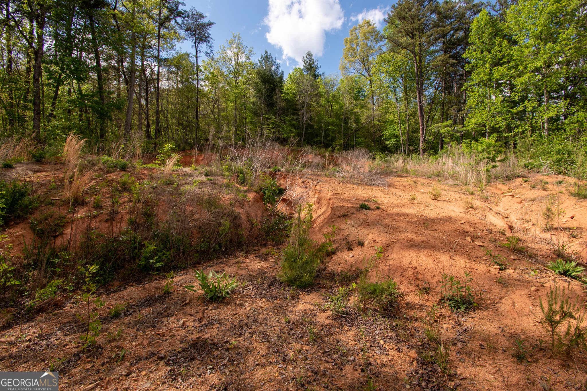 residential lot for sale at 0 W Vineyard Road, Hayesville, NC 28904 — photo 3