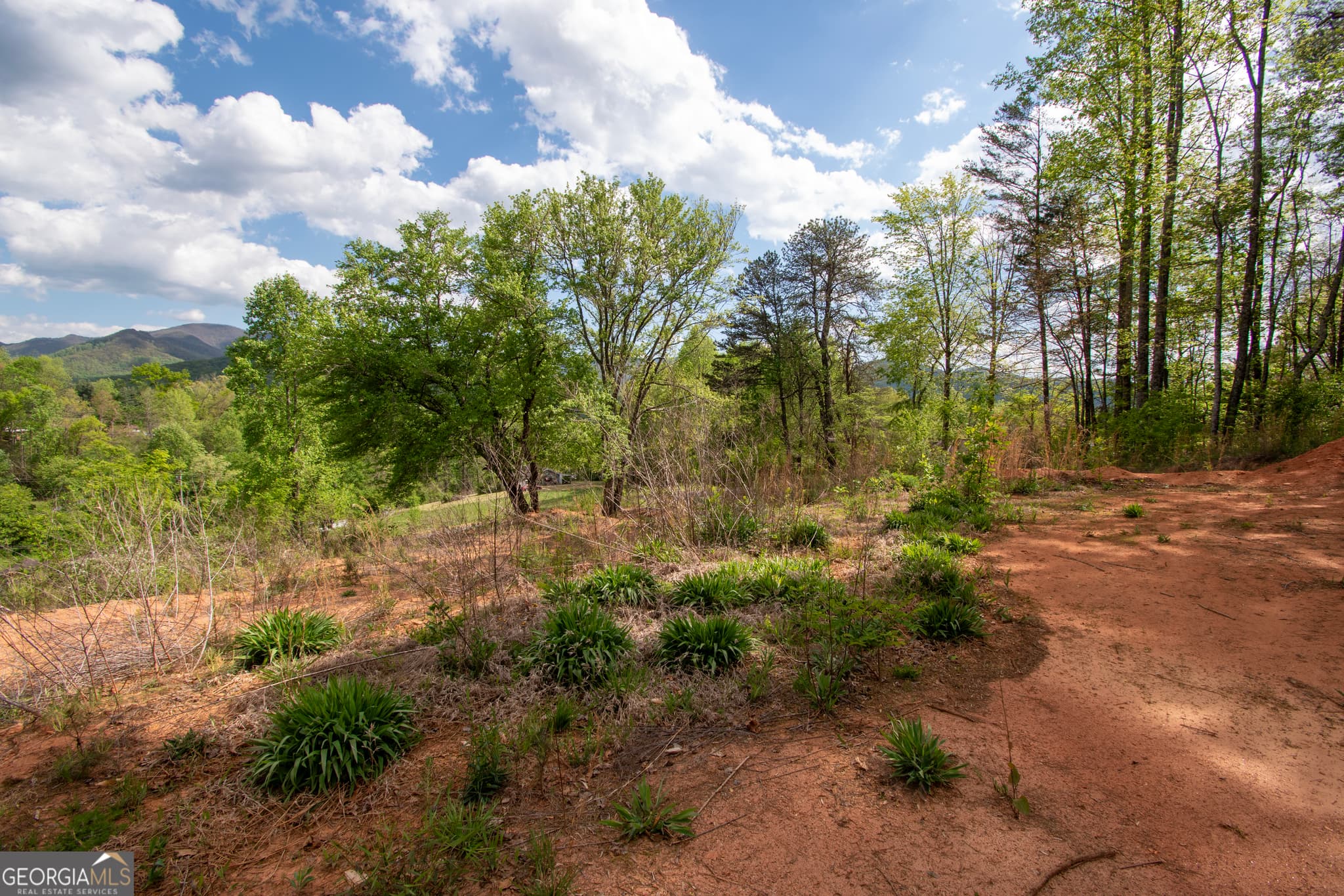 residential lot for sale at 0 W Vineyard Road, Hayesville, NC 28904 — photo 5
