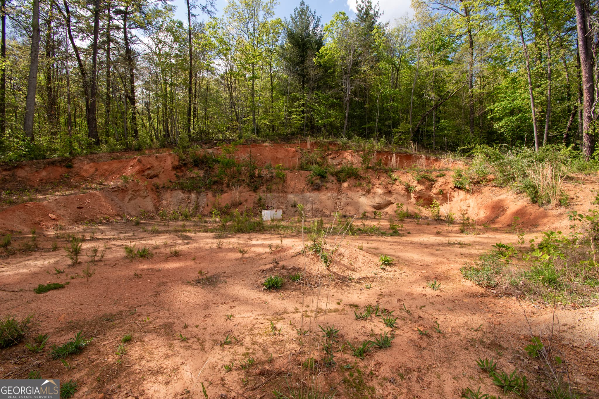 residential lot for sale at 0 W Vineyard Road, Hayesville, NC 28904 — photo 4