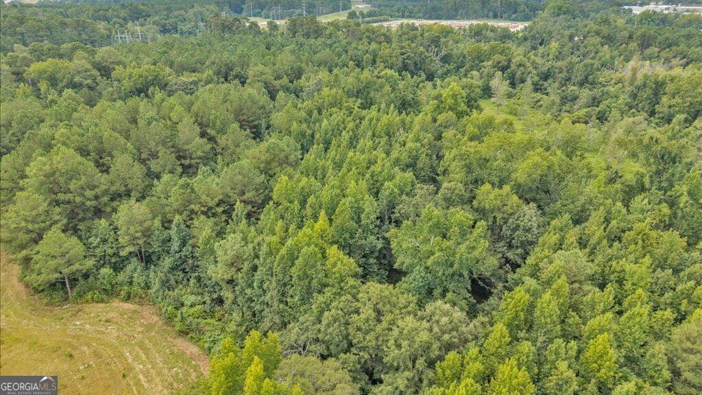 unimproved land for sale at 1789 Lumpkin Road, Augusta, GA 30906 — photo 2
