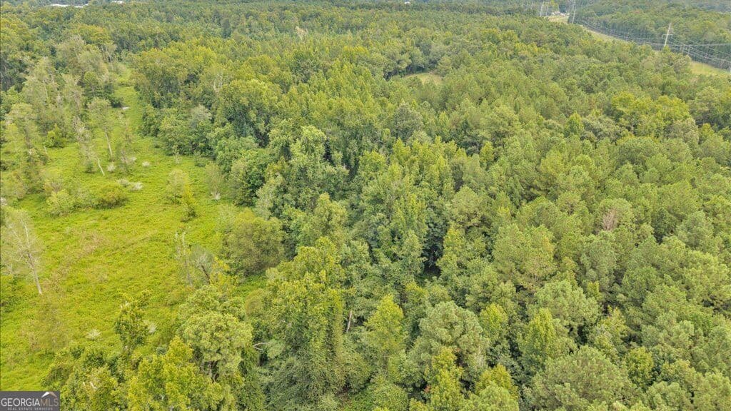 unimproved land for sale at 1789 Lumpkin Road, Augusta, GA 30906 — photo 7