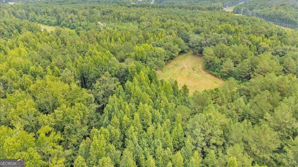 unimproved land for sale at 1789 Lumpkin Road, Augusta, GA 30906 — photo 3