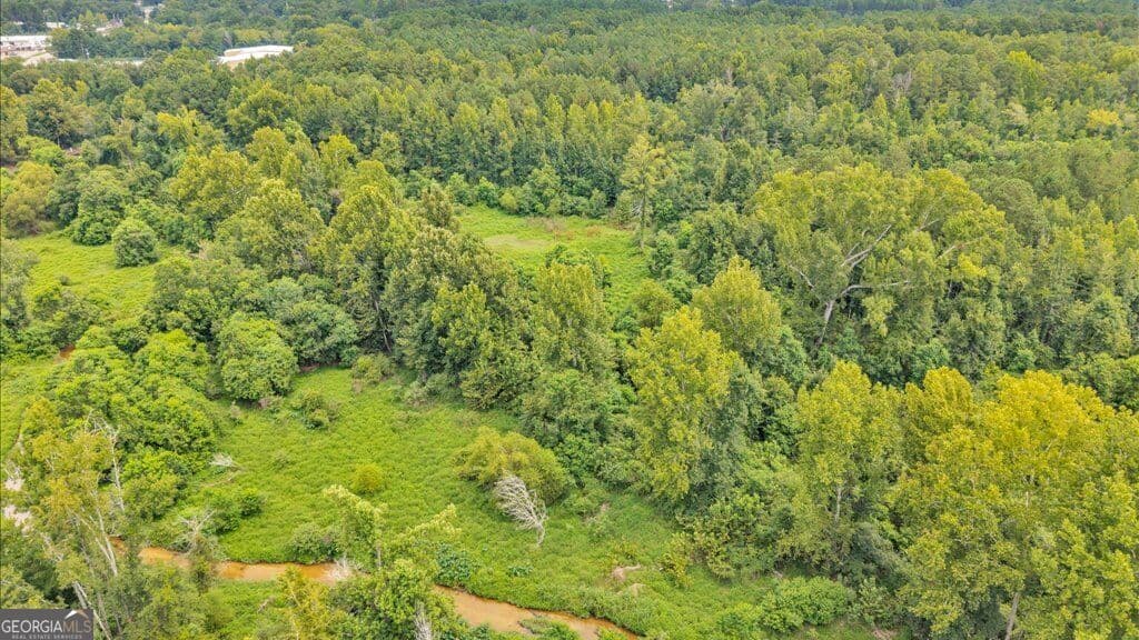 unimproved land for sale at 1789 Lumpkin Road, Augusta, GA 30906 — photo 5