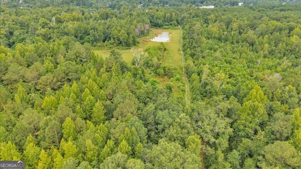 unimproved land for sale at 1789 Lumpkin Road, Augusta, GA 30906 — photo 9