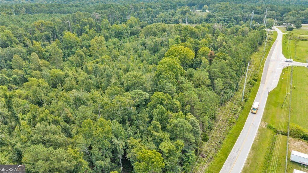unimproved land for sale at 1789 Lumpkin Road, Augusta, GA 30906 — photo 10