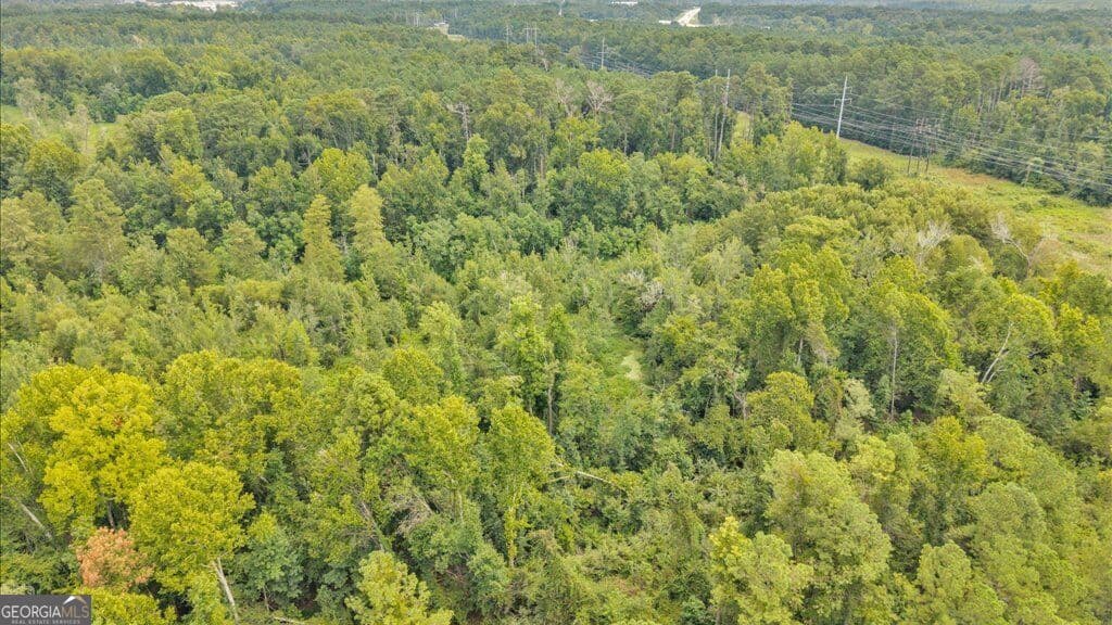 unimproved land for sale at 1789 Lumpkin Road, Augusta, GA 30906 — photo 4