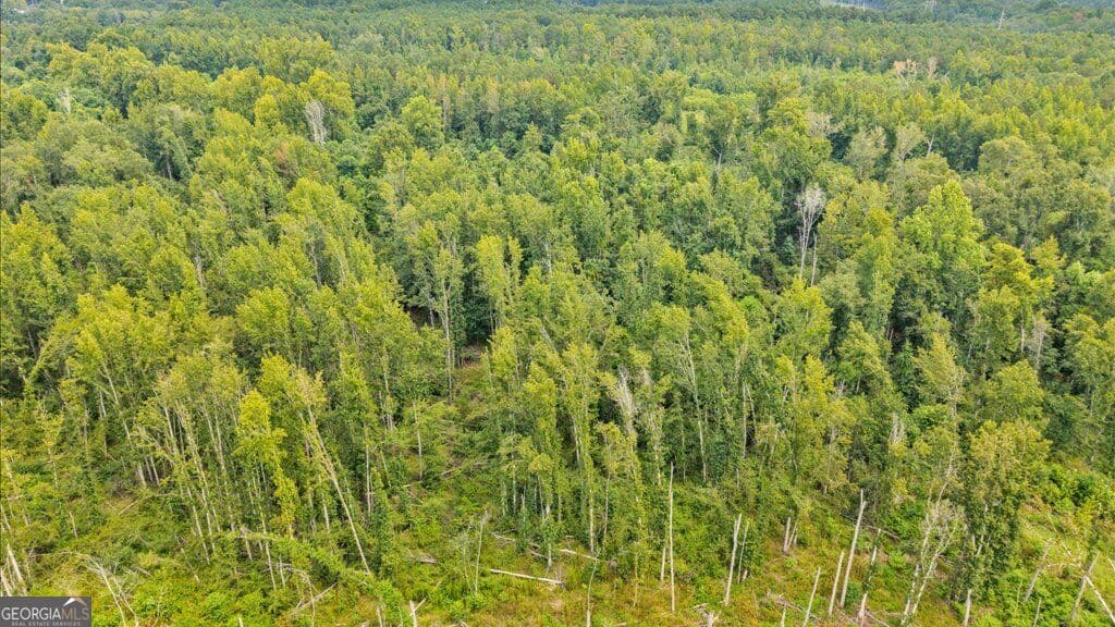 unimproved land for sale at 1789 Lumpkin Road, Augusta, GA 30906 — photo 8
