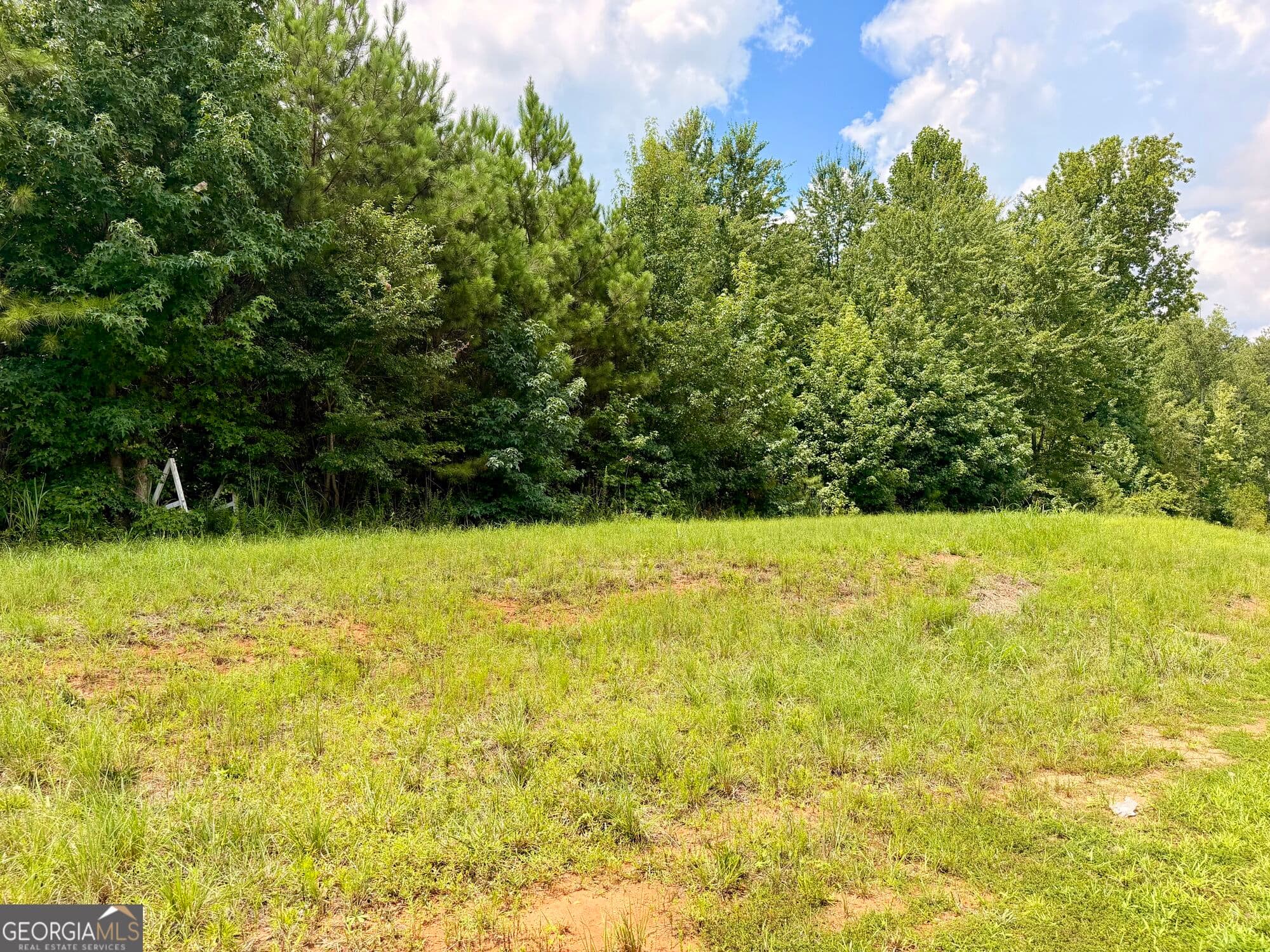 unimproved land for sale at 2192 Hiram Douglasville Highway, Hiram, GA 30141 — photo 5