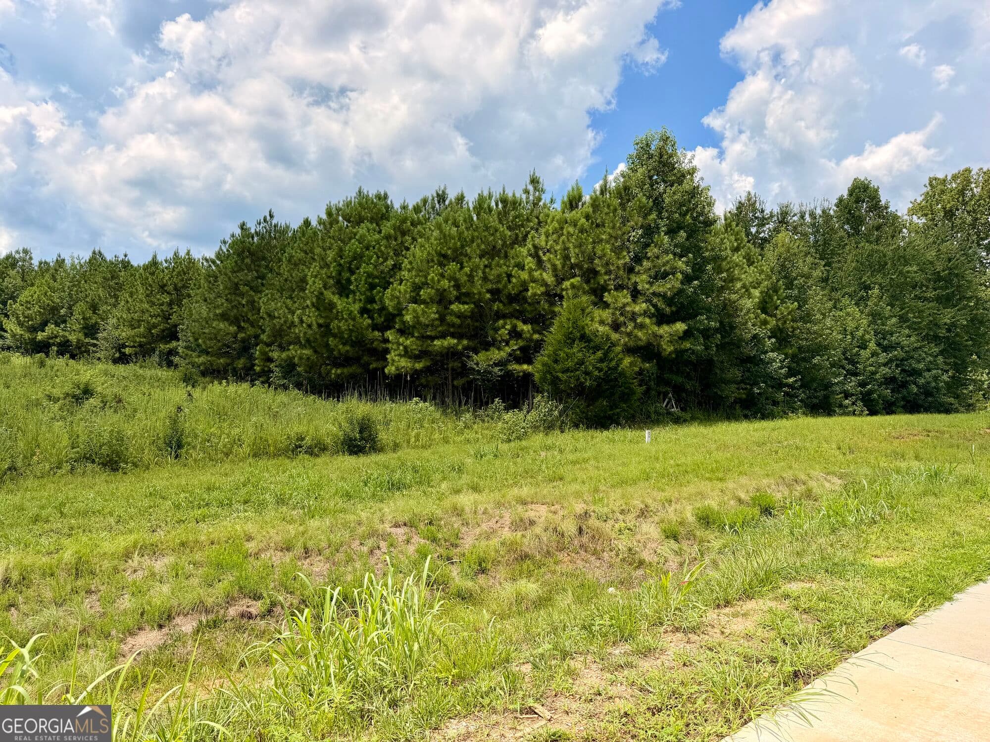 unimproved land for sale at 2192 Hiram Douglasville Highway, Hiram, GA 30141 — photo 4
