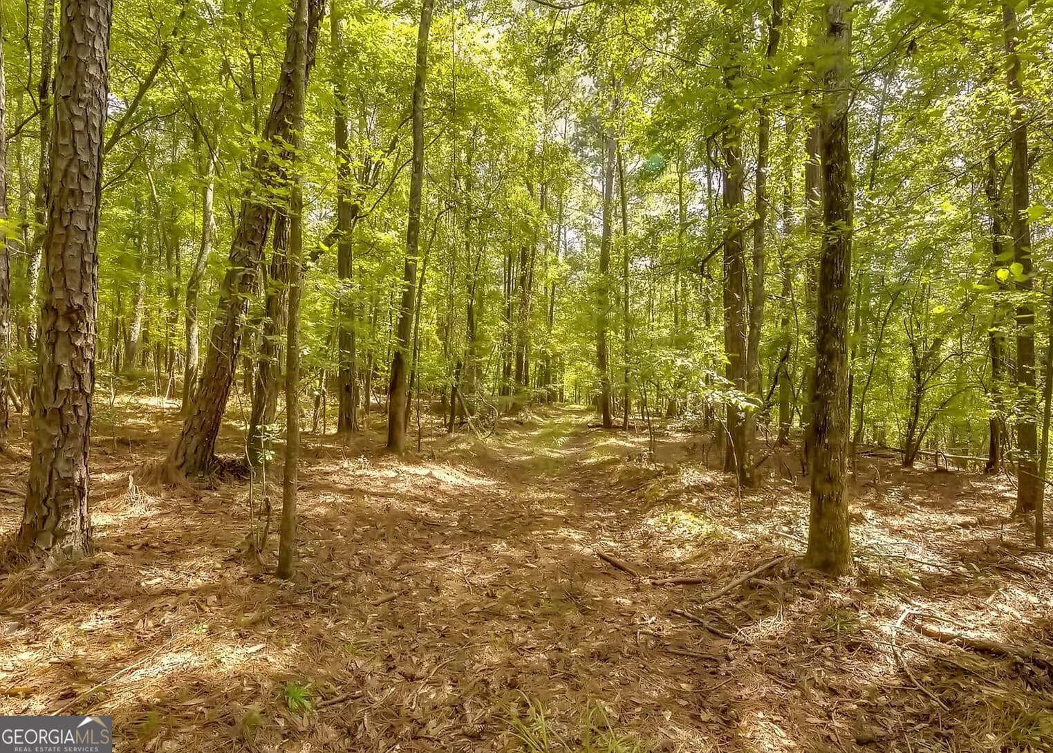 residential lot for sale at 1251 Crumbley Road, Mcdonough, GA 30252 — photo 1 of 1
