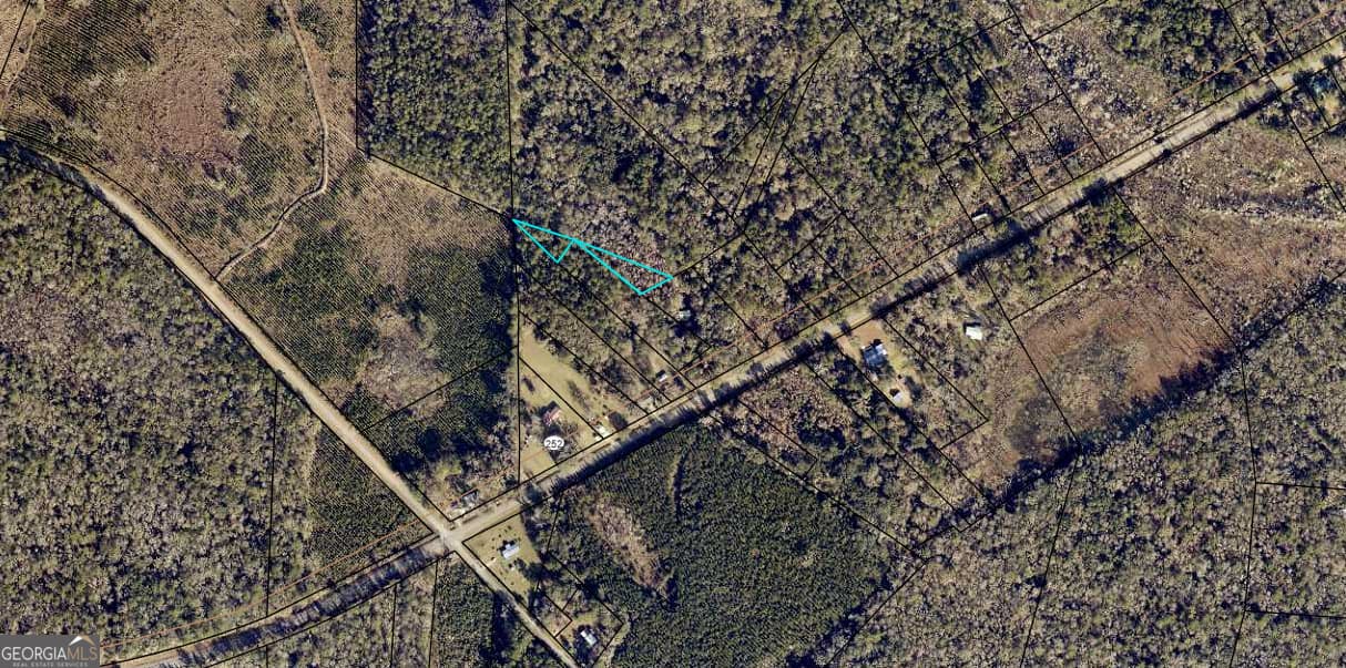unimproved land for sale at LOT 62 Burnt Fort Road, White Oak, GA 31568 — photo 3
