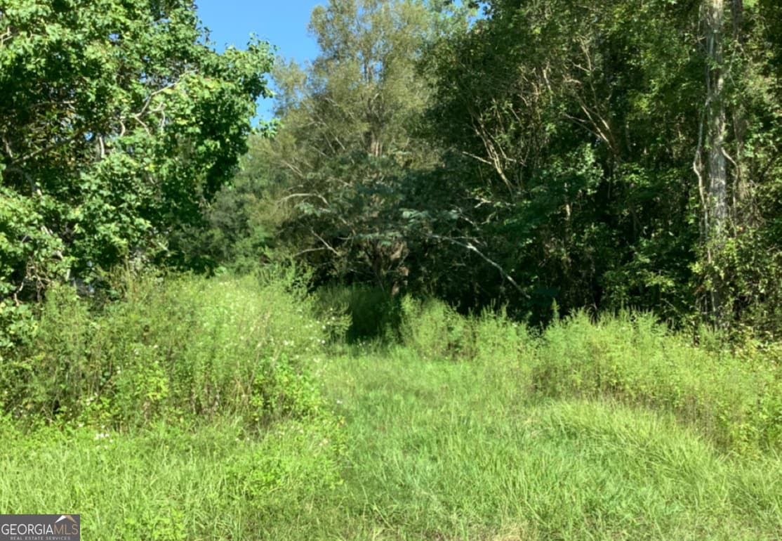 unimproved land for sale at LOT 62 Burnt Fort Road, White Oak, GA 31568 — photo 1 of 5