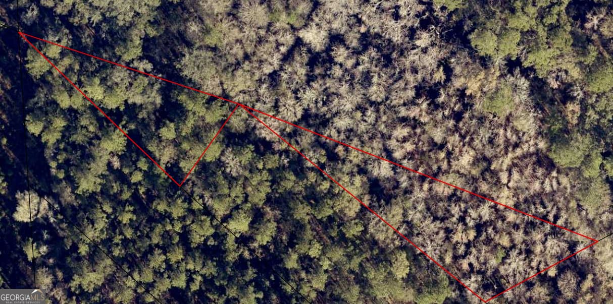unimproved land for sale at LOT 62 Burnt Fort Road, White Oak, GA 31568 — photo 4