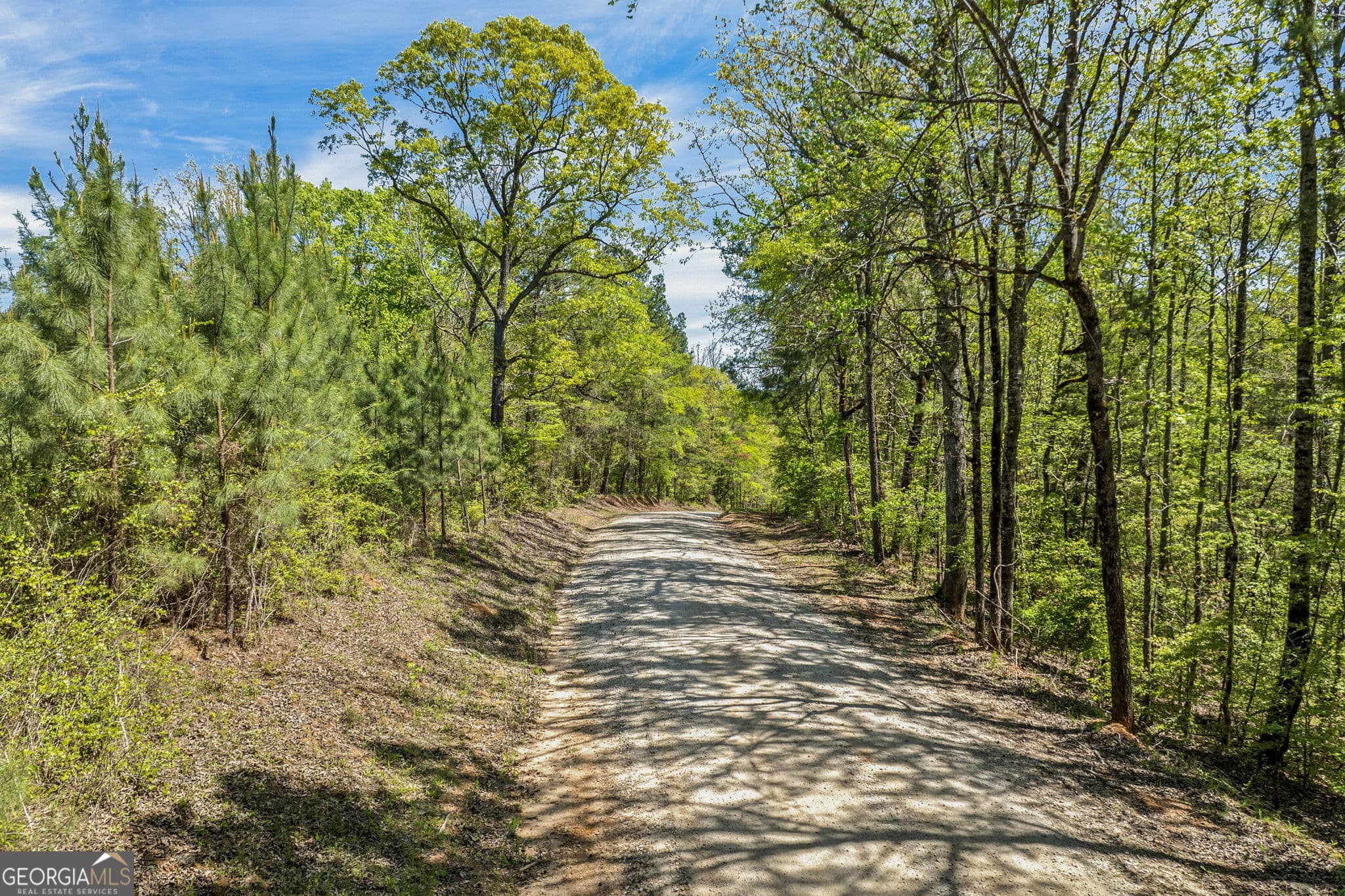 unimproved land for sale at 0 Liberty Hill Glenn Road, Lagrange, GA 30240 — photo 2