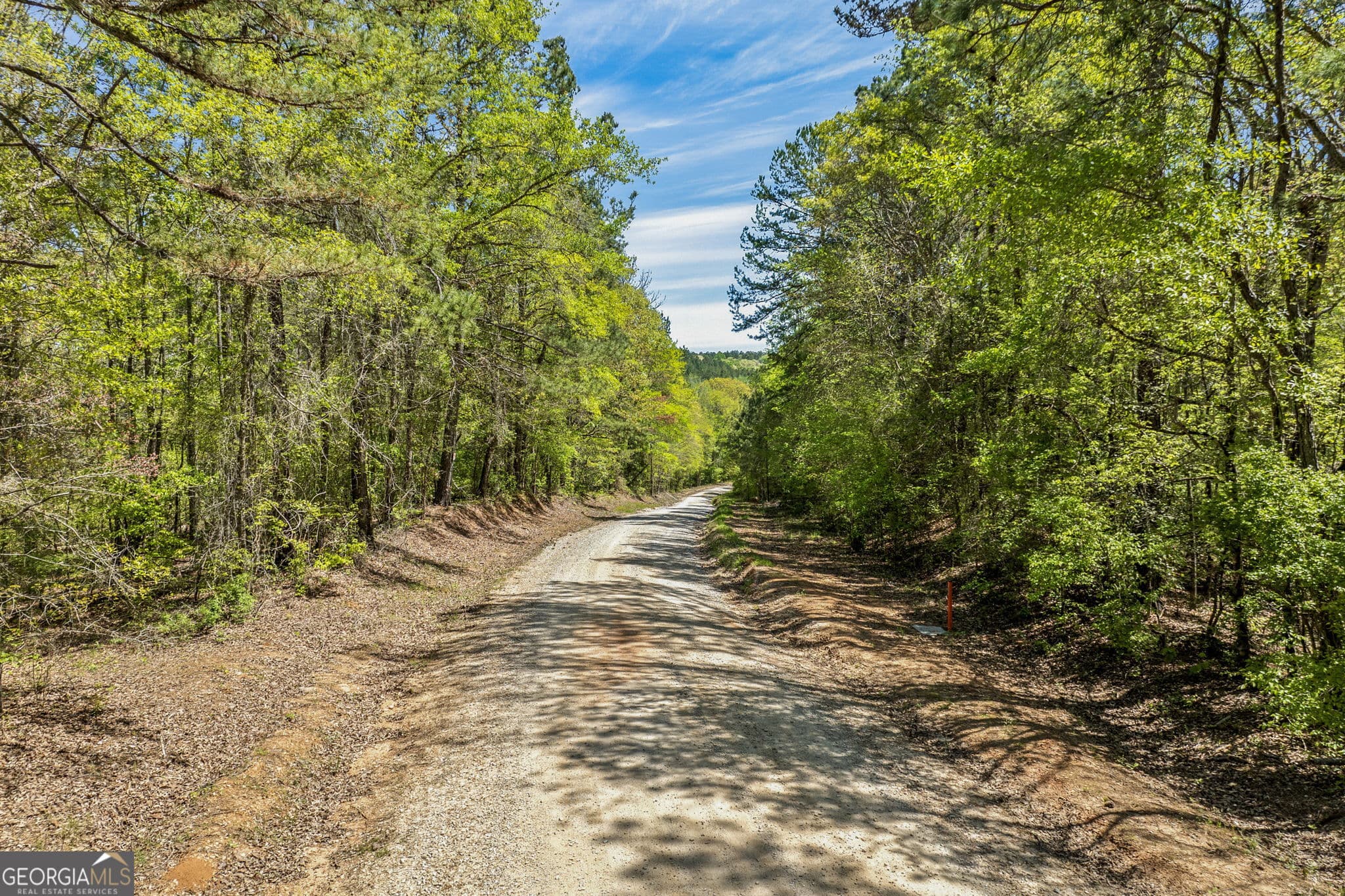 unimproved land for sale at 0 Liberty Hill Glenn Road, Lagrange, GA 30240 — photo 3