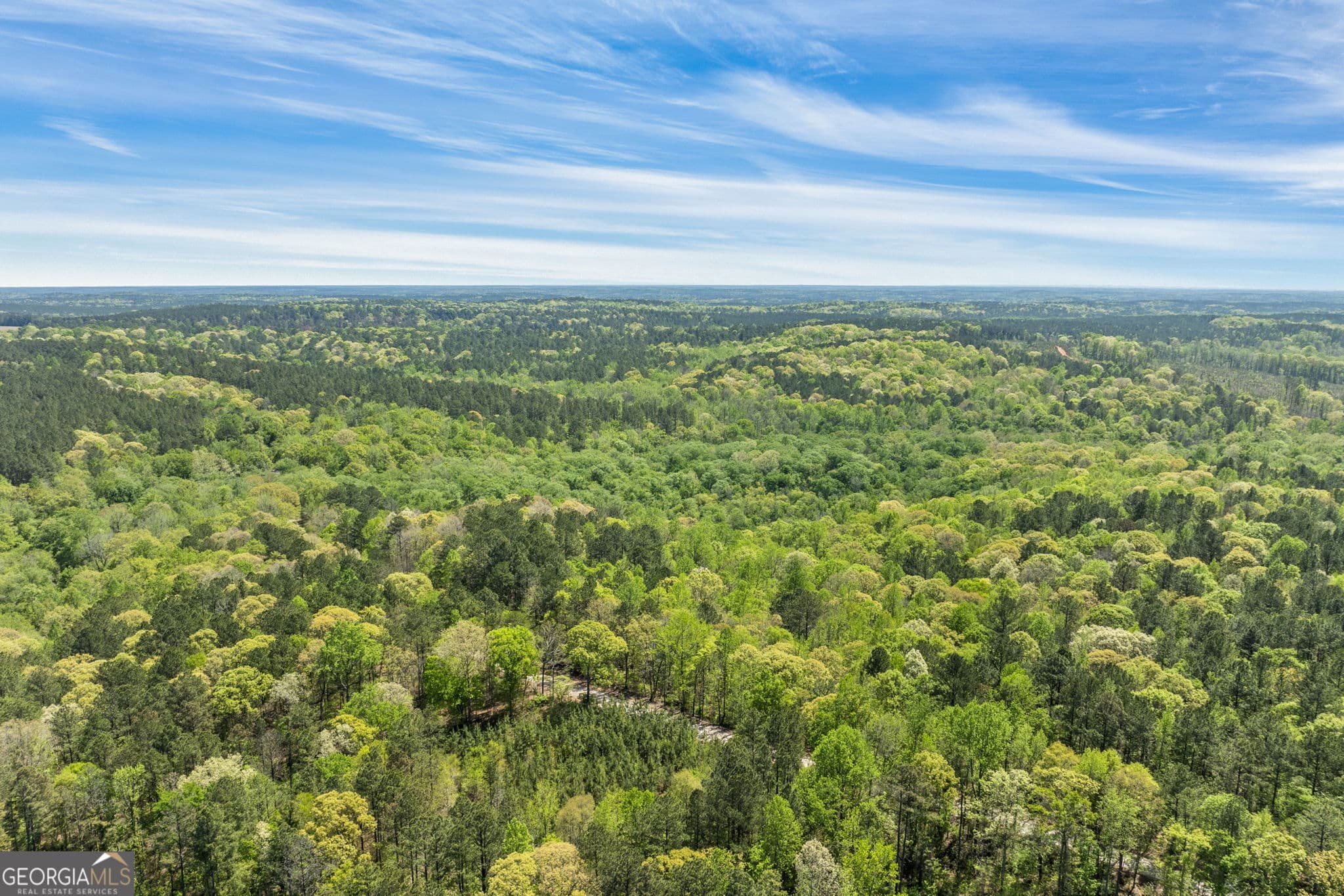 unimproved land for sale at 0 Liberty Hill Glenn Road, Lagrange, GA 30240 — photo 9