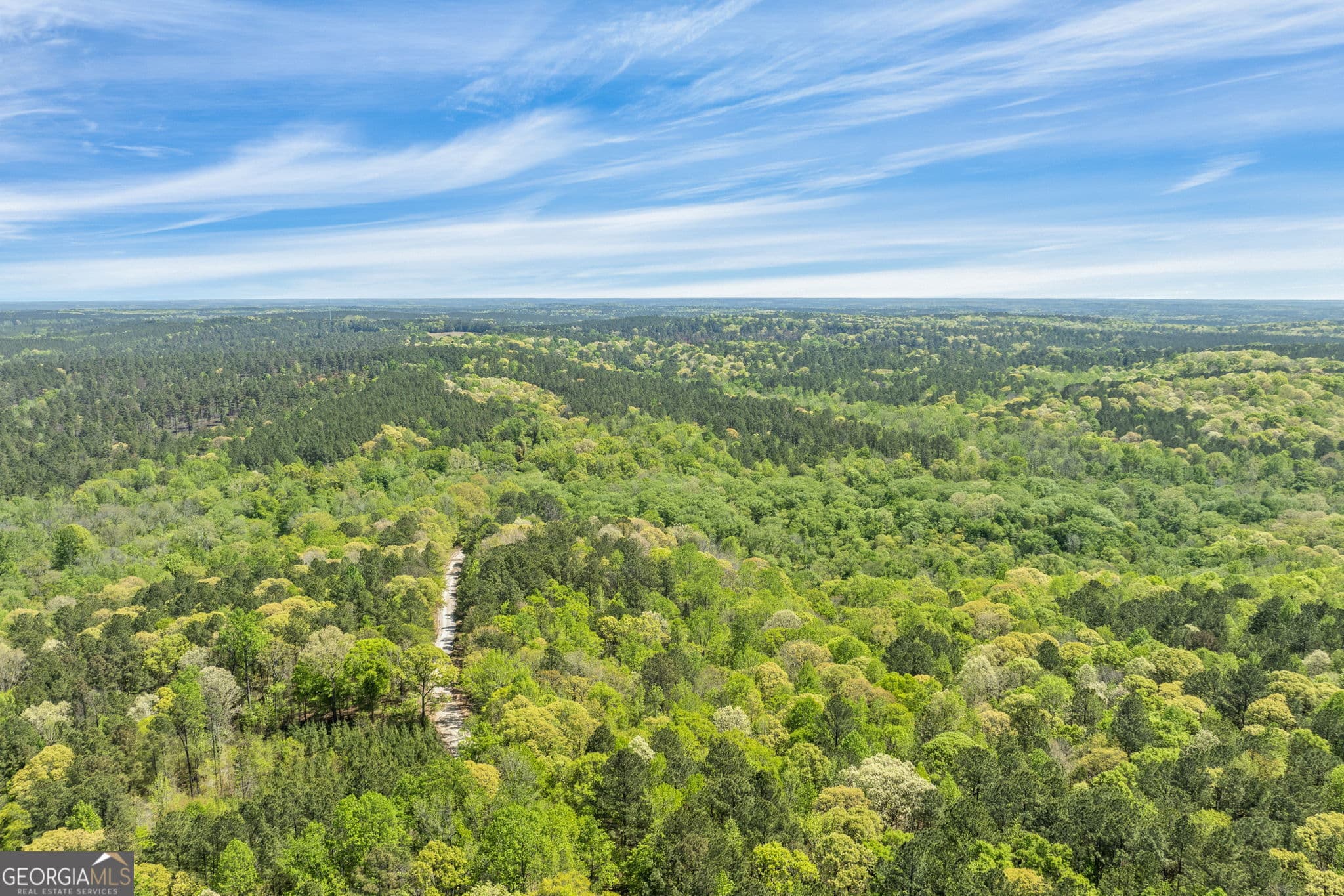 unimproved land for sale at 0 Liberty Hill Glenn Road, Lagrange, GA 30240 — photo 8